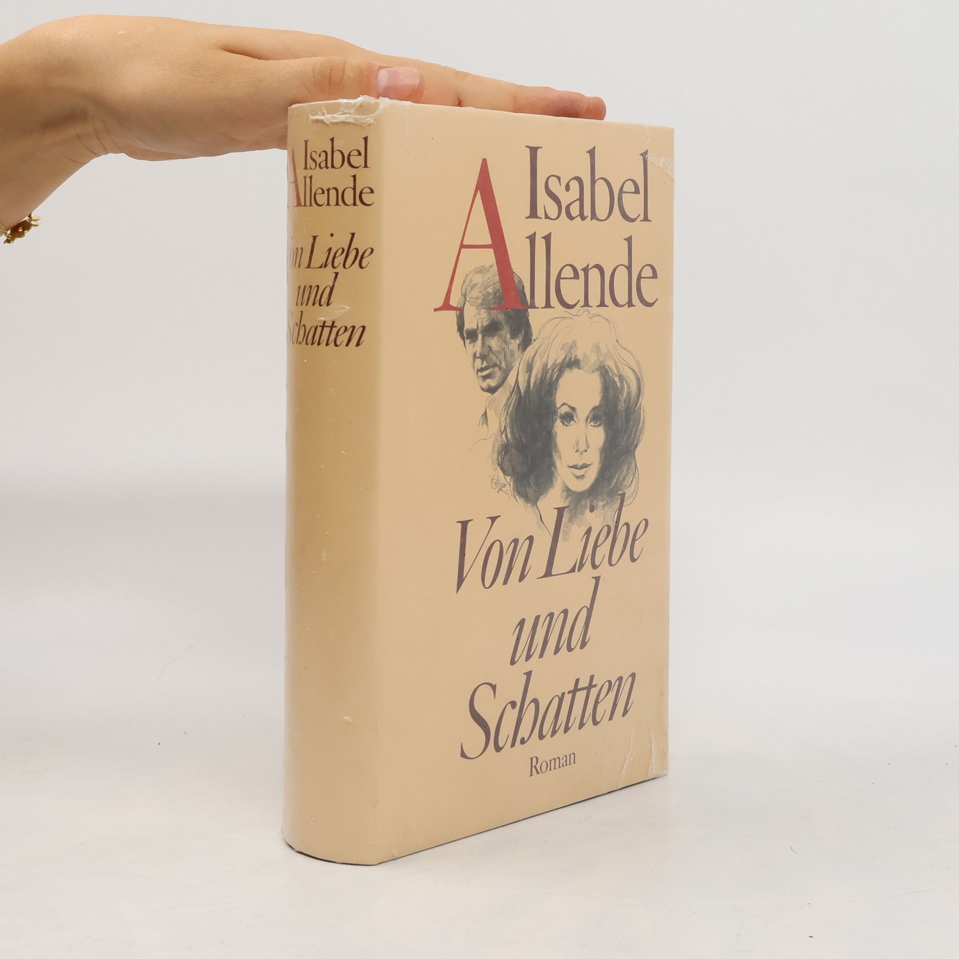 Isabel Allende Von Liebe und Schatten