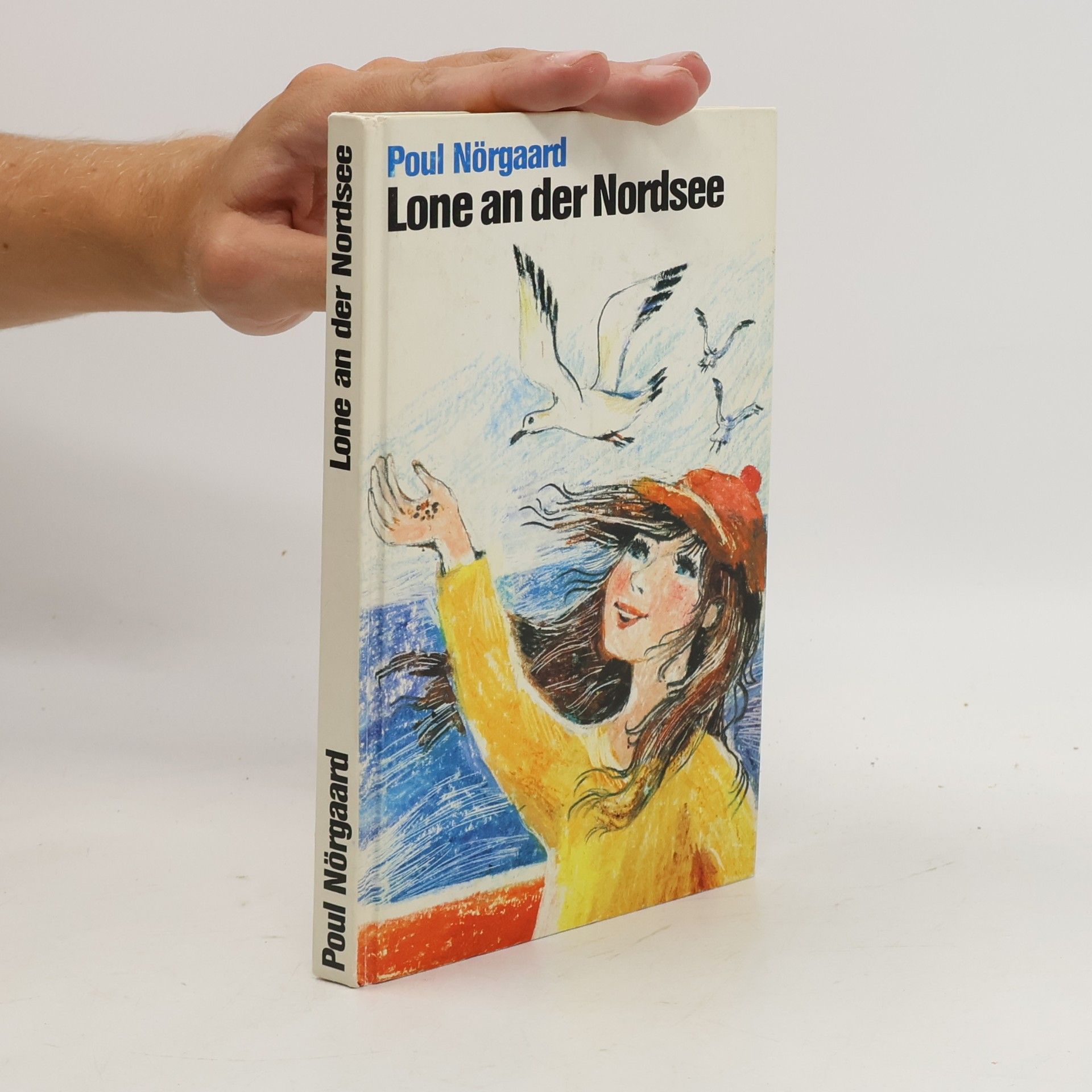 Poul Nörgaard Lone an der Nordsee