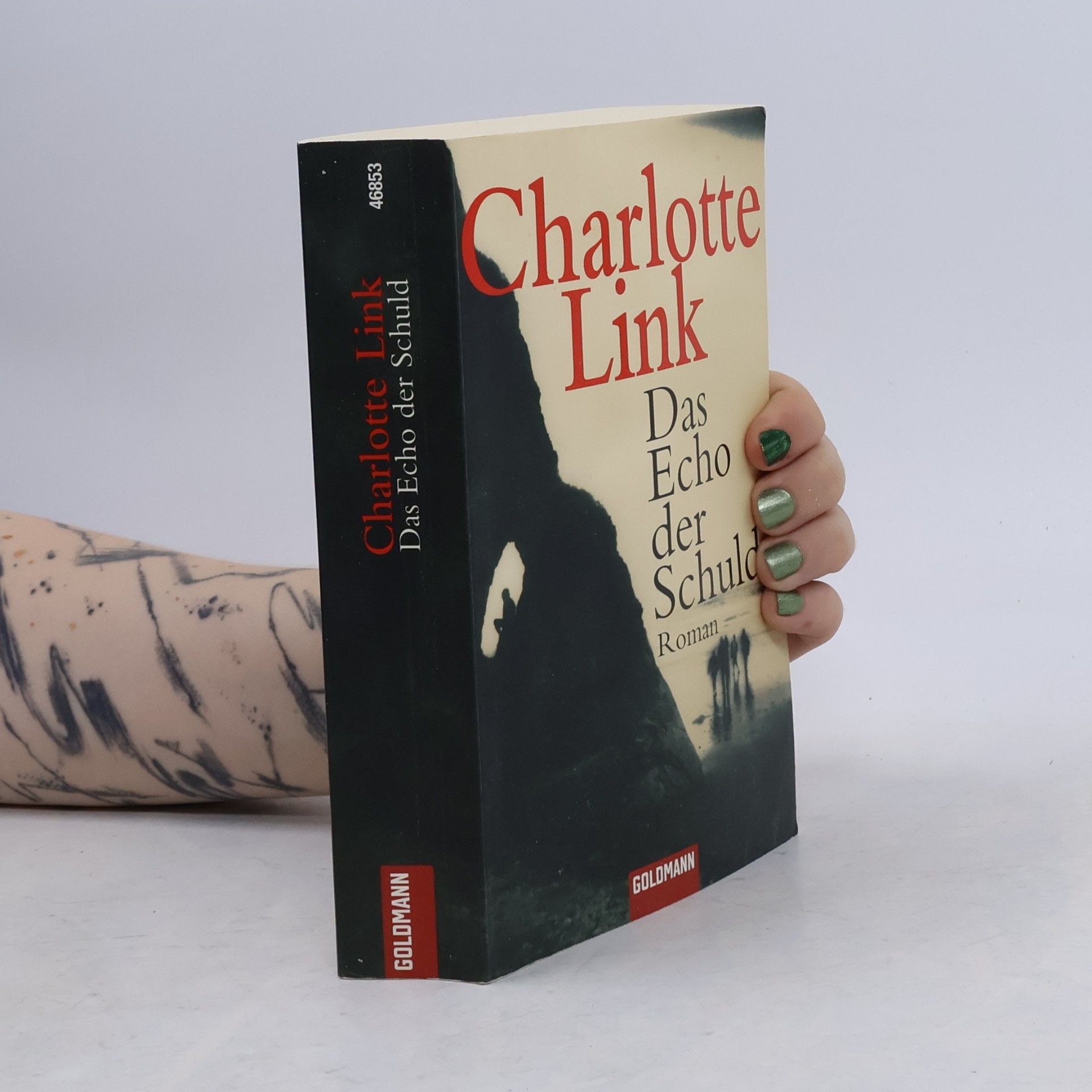 Charlotte Link Das Echo der Schuld