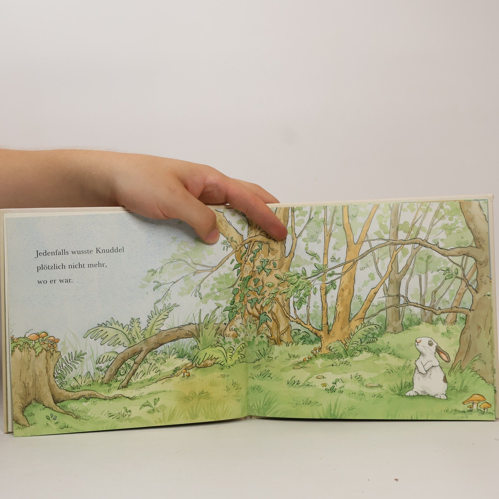Anita Jeram Knuddelhase