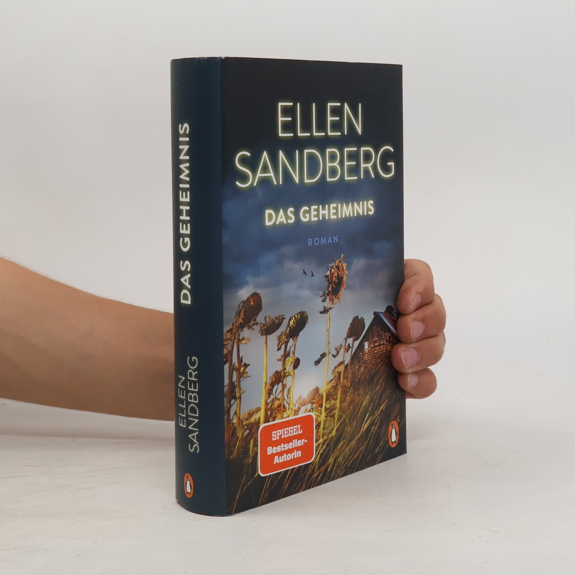 Ellen Sandberg Das Geheimnis