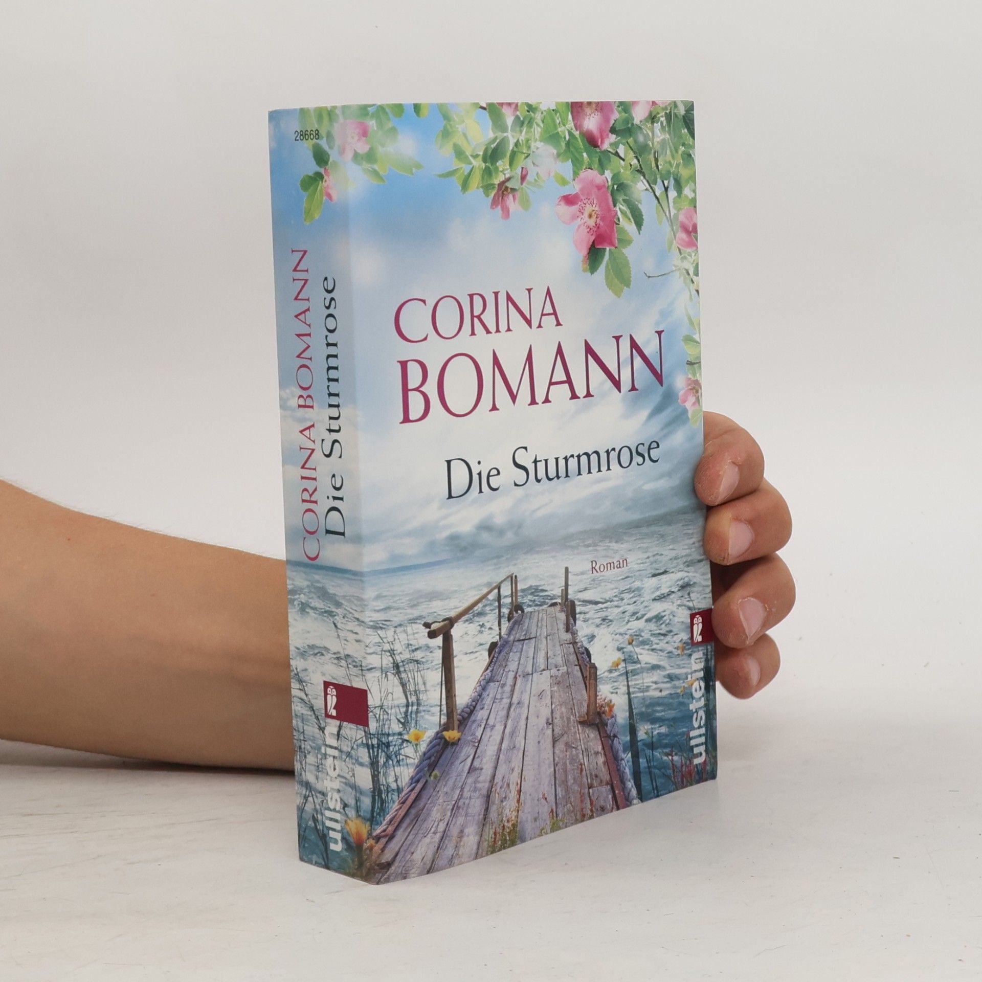 Die Sturmrose