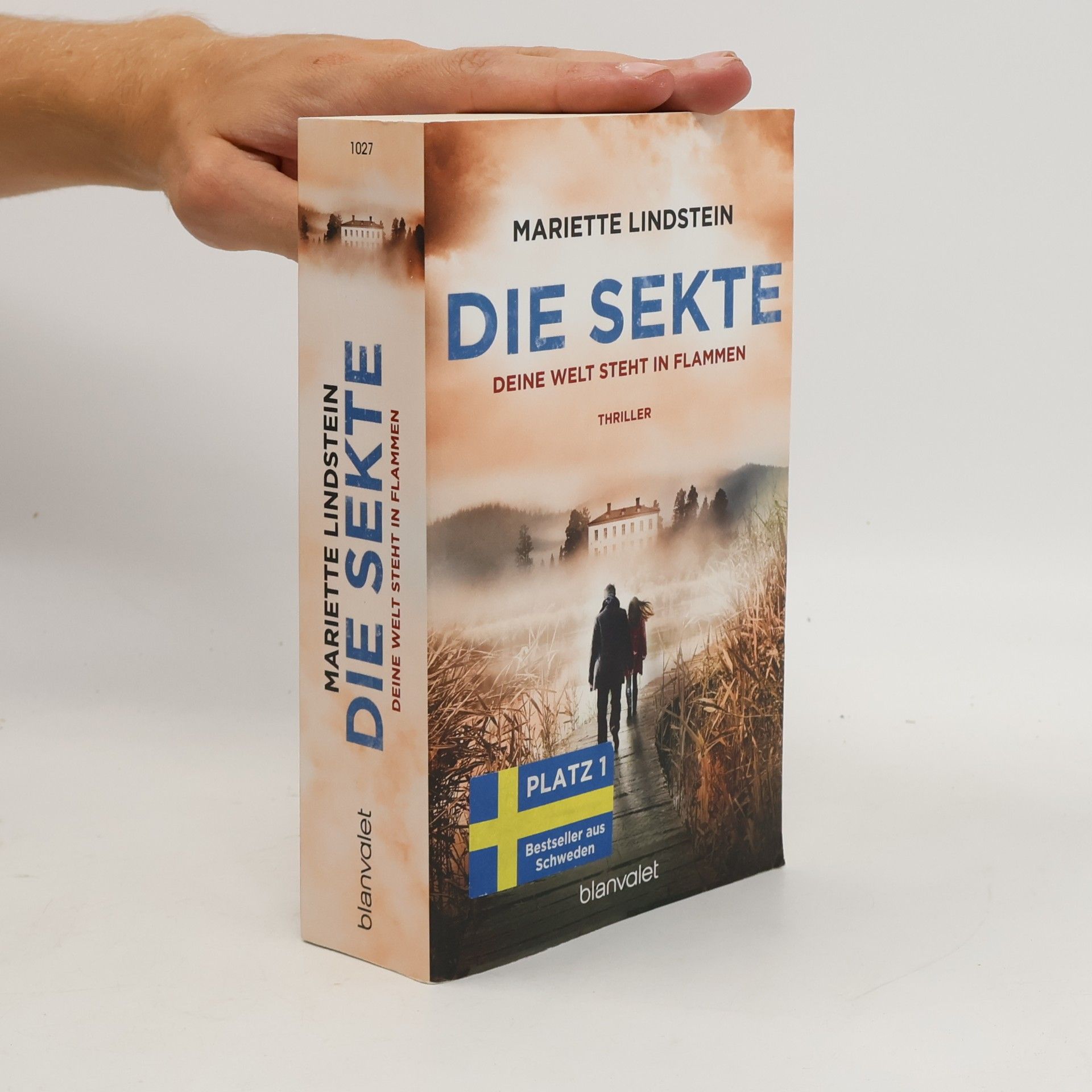 Die Sekte: Deine Welt steht in Flammen