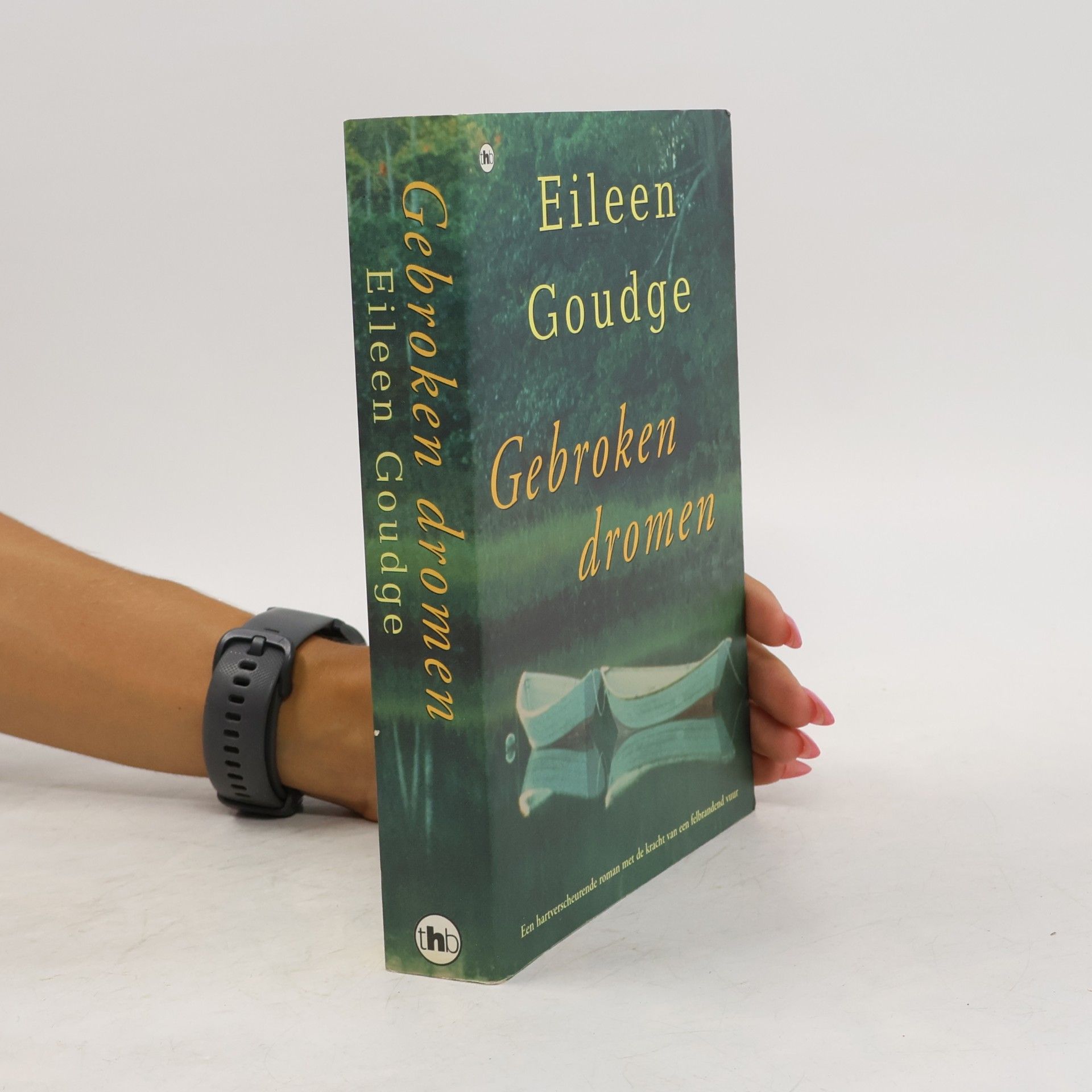 Eileen Goudge Gebroken dromen