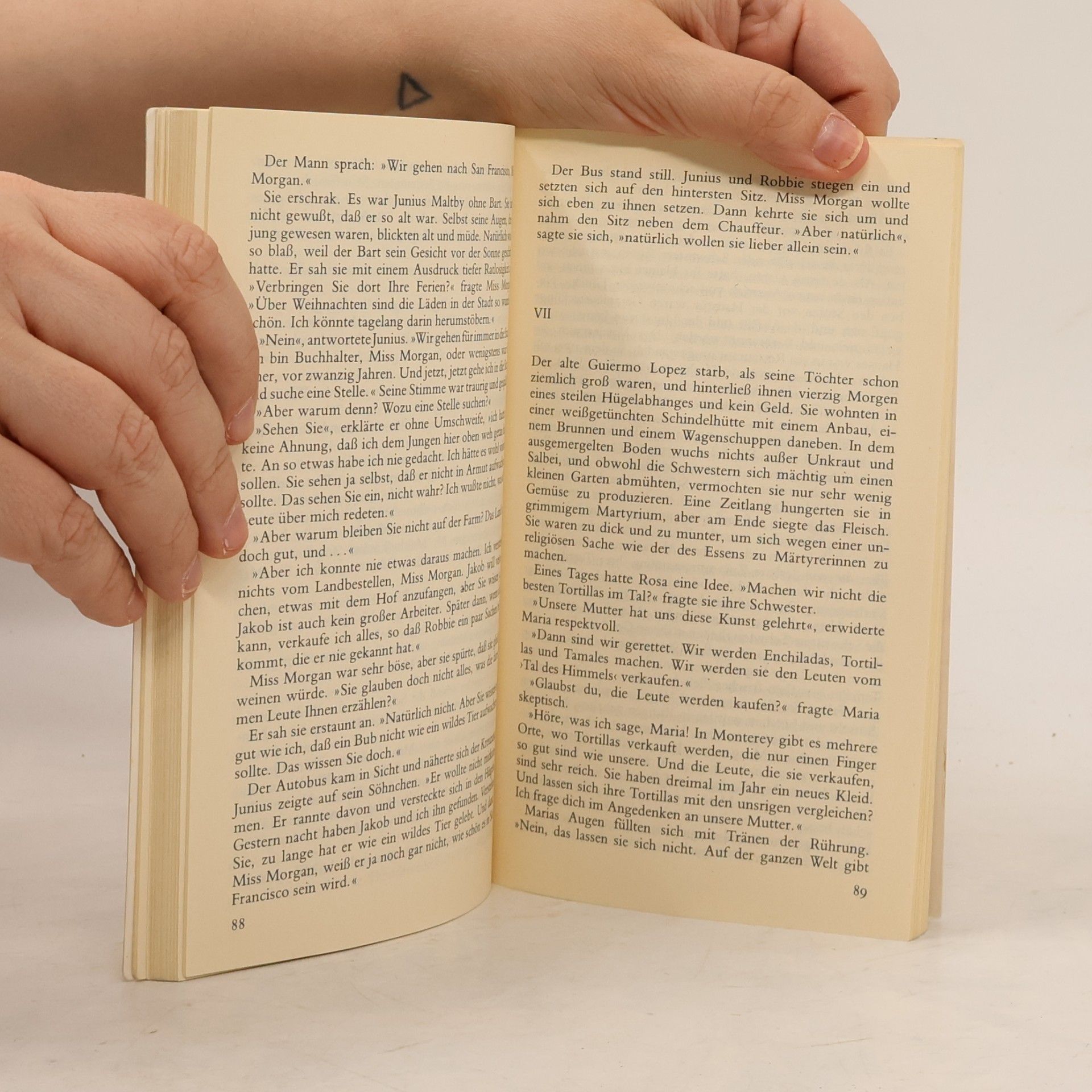 John Steinbeck Das Tal des Himmels