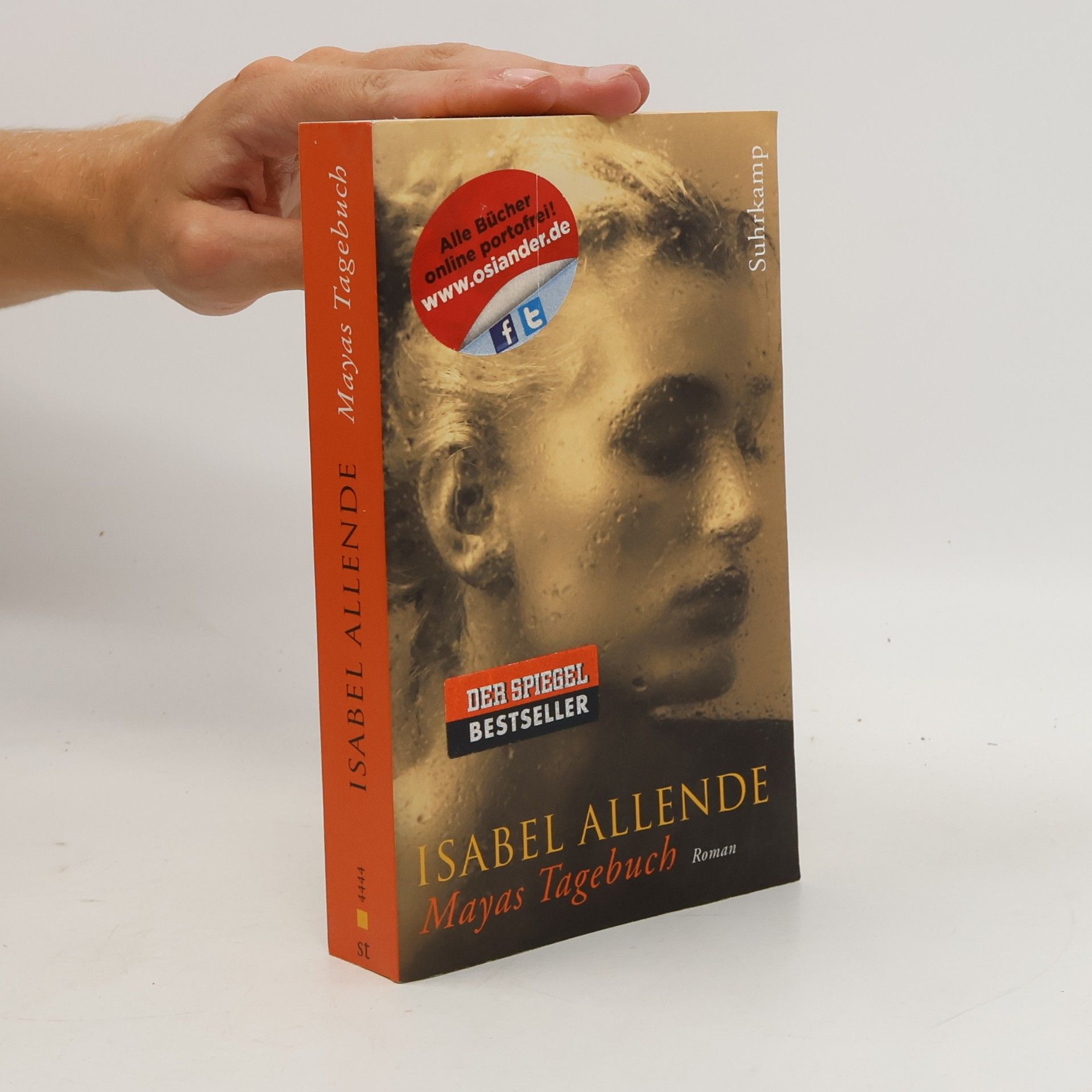 Isabel Allende Mayas Tagebuch