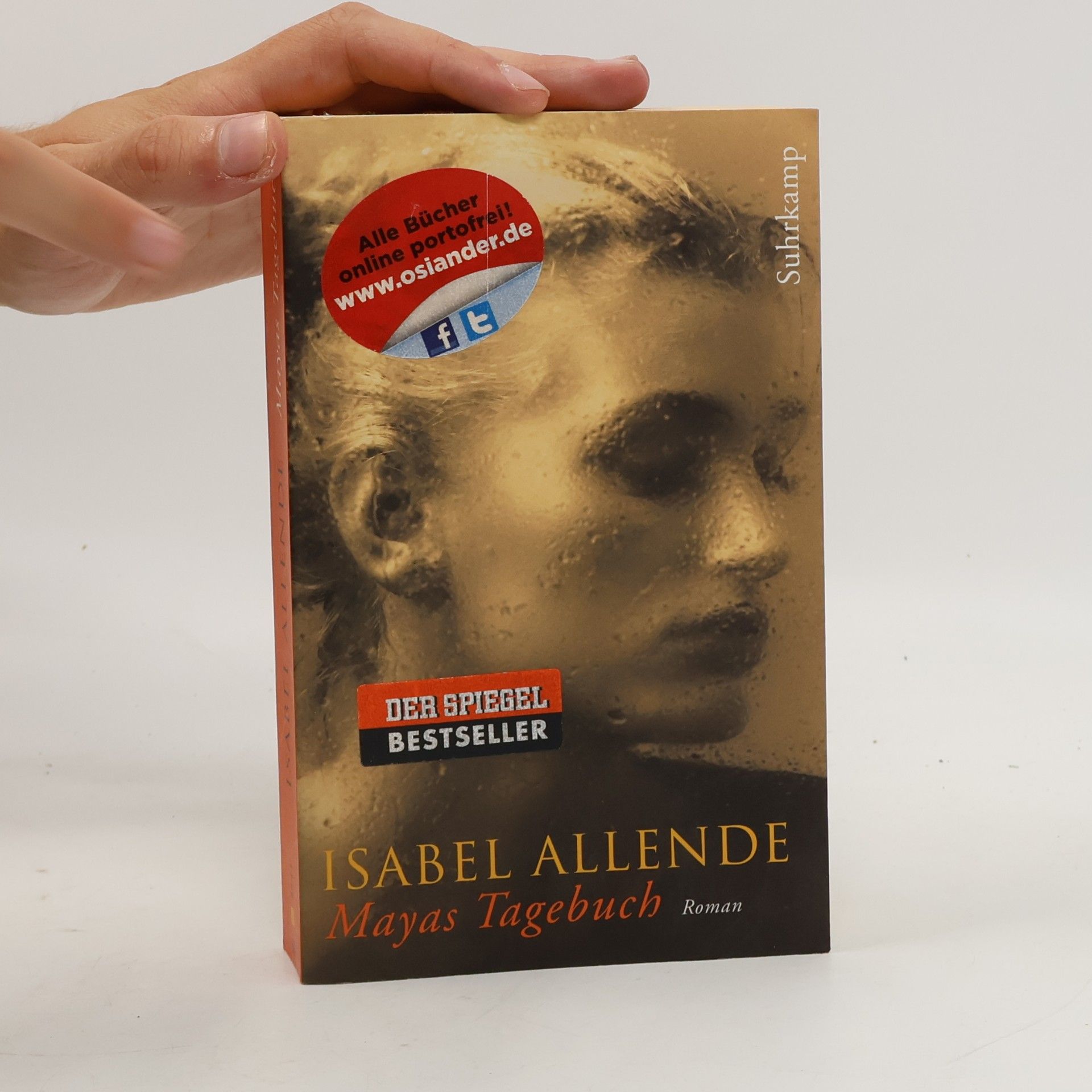 Isabel Allende Mayas Tagebuch