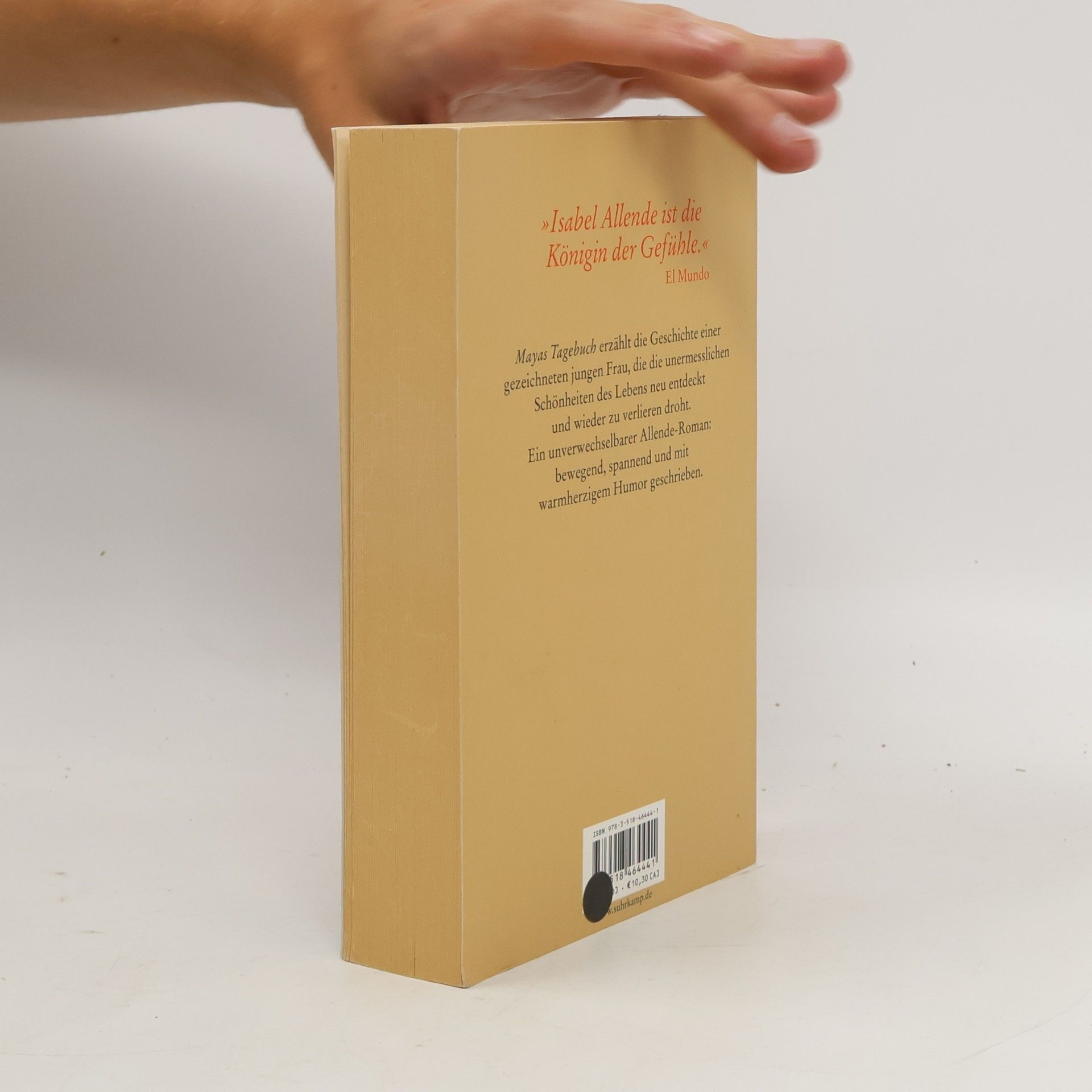 Isabel Allende Mayas Tagebuch