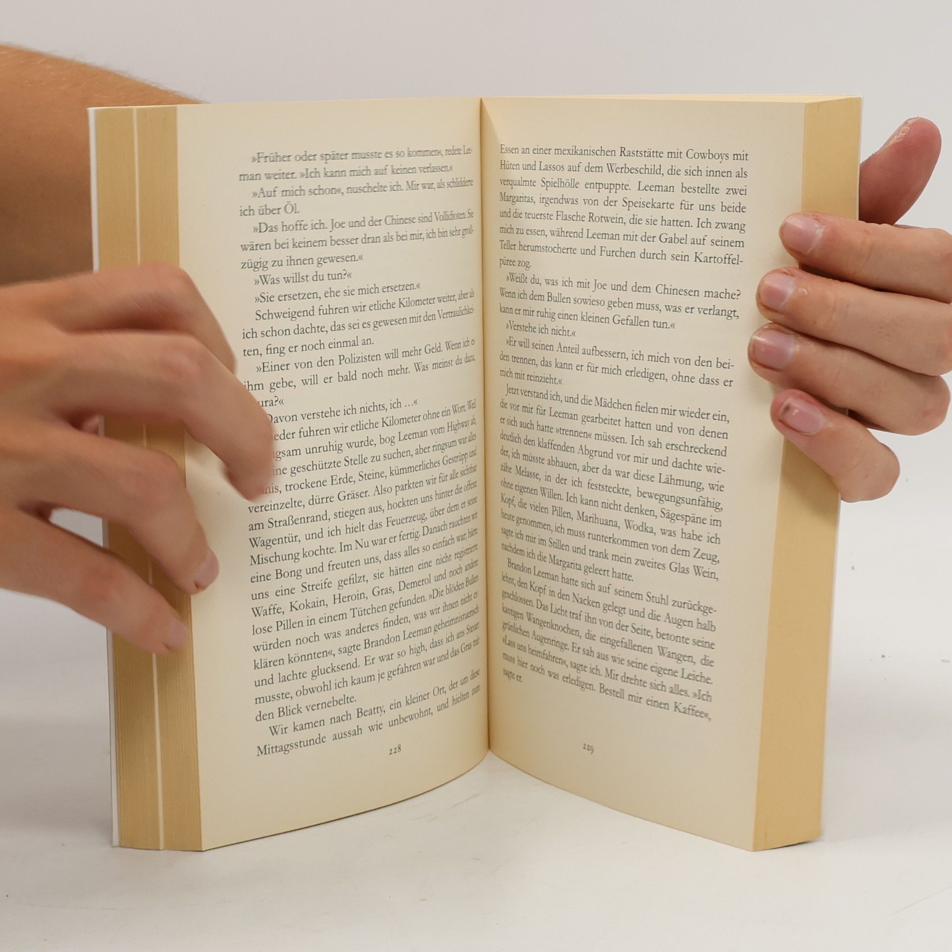 Isabel Allende Mayas Tagebuch