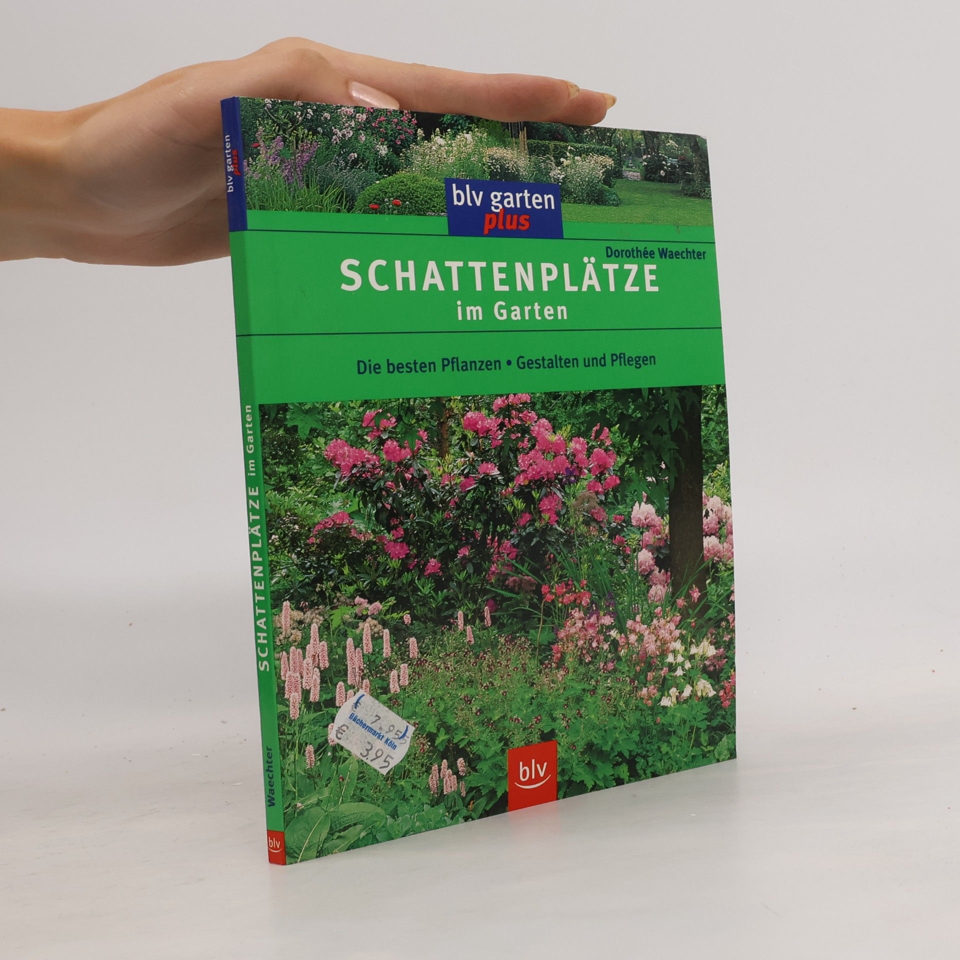 Dorothée Waechter Schattenplätze im Garten