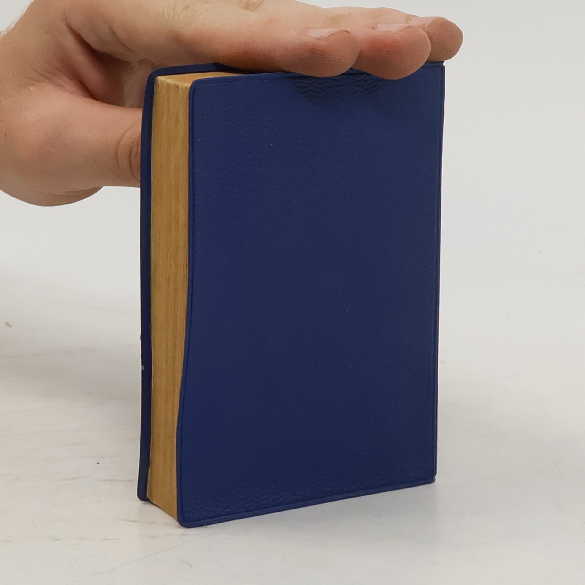 Autorenkollektiv Langenscheidts Universal Wörterbuch Italienisch
