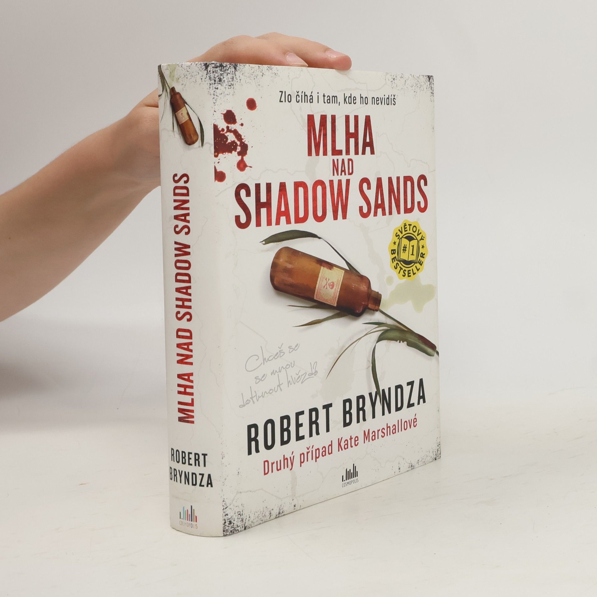 Robert Bryndza Mlha nad Shadow Sands