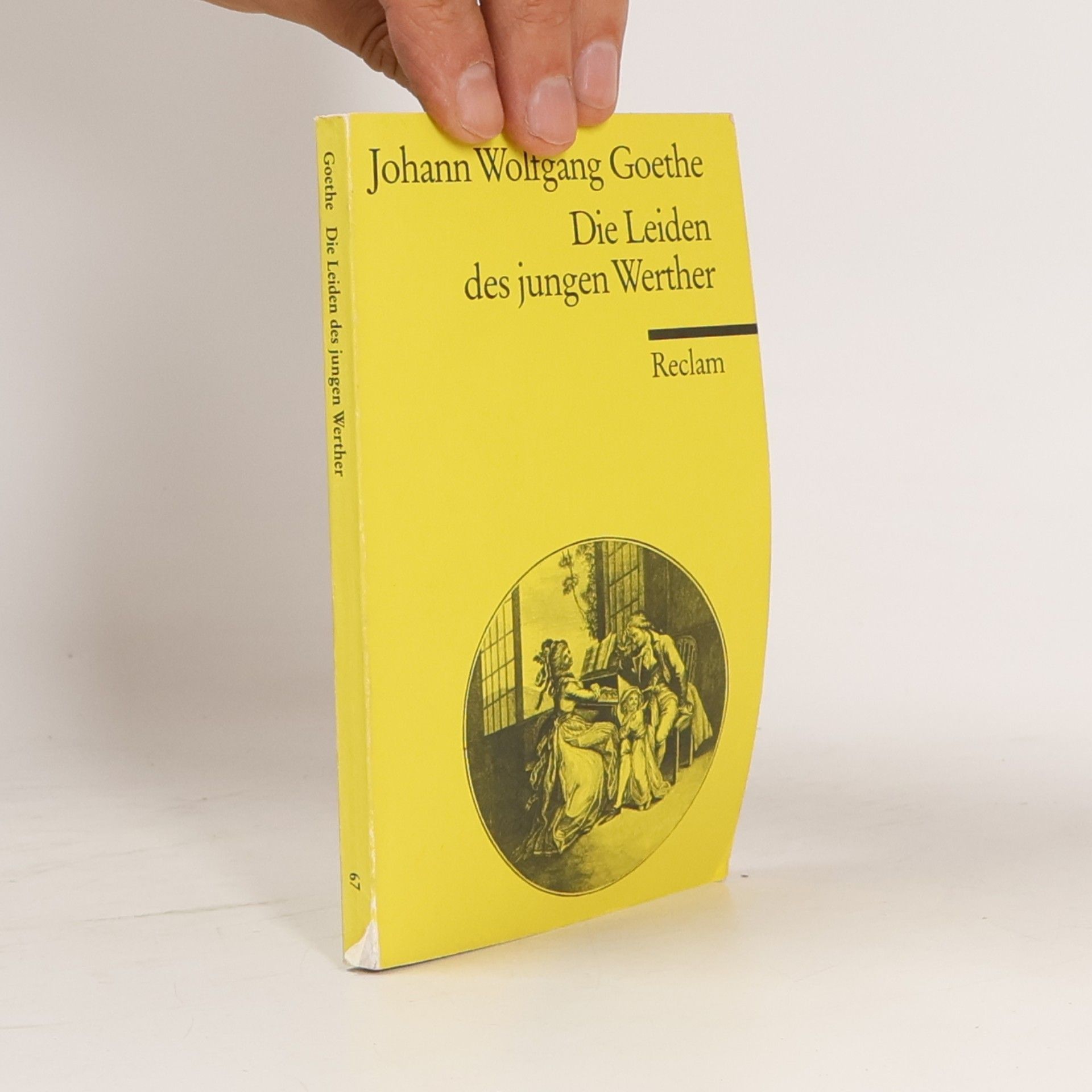 Johann Wolfgang von Goethe Die Leiden des jungen Werther
