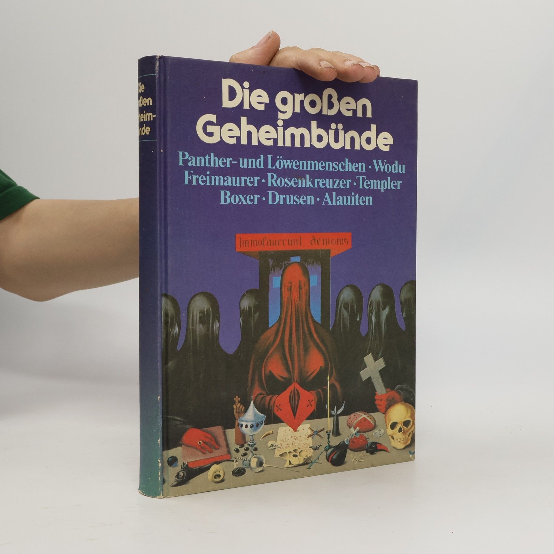 Kolektiv autorů Die grossen Geheimbünde