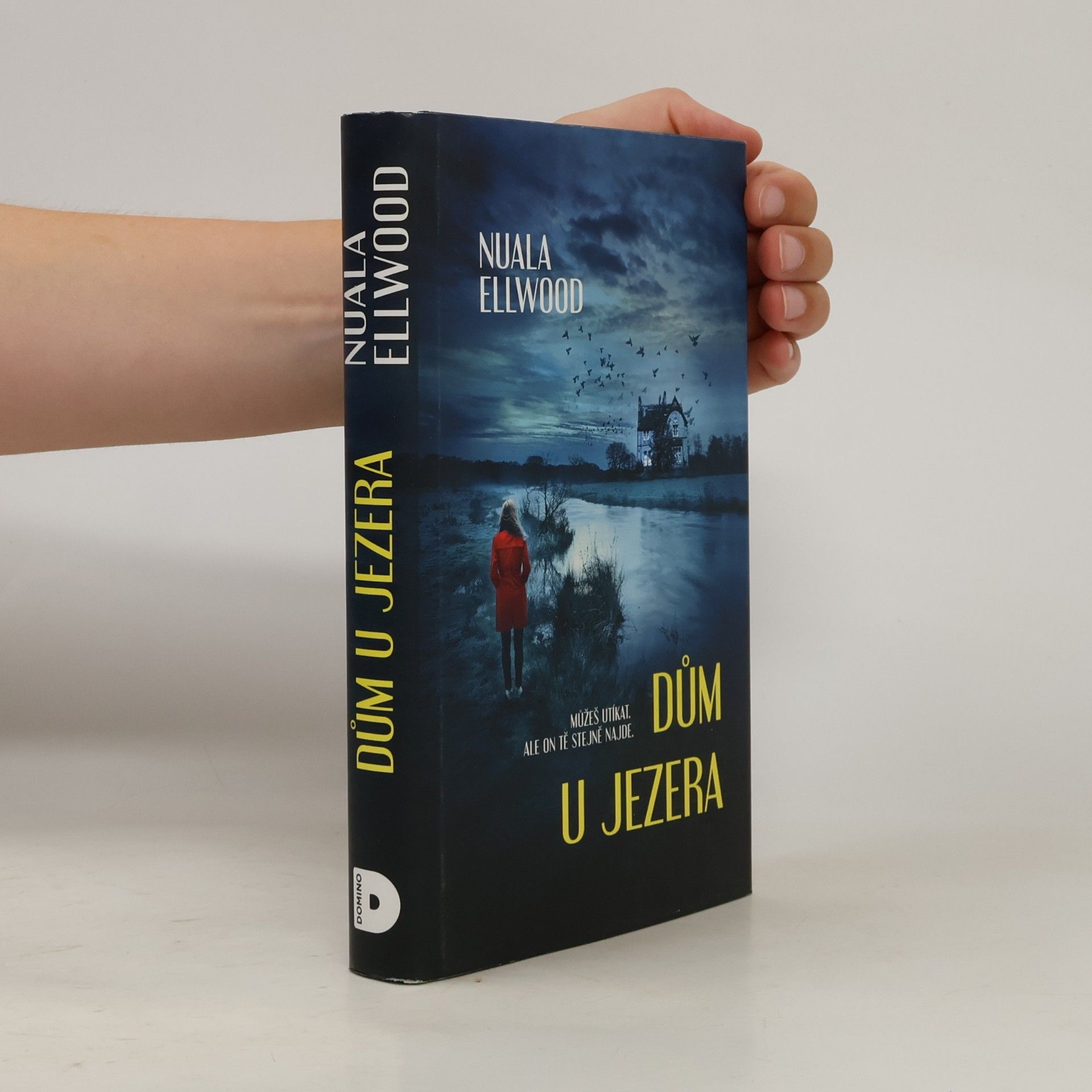 Nuala Ellwood Dům u jezera