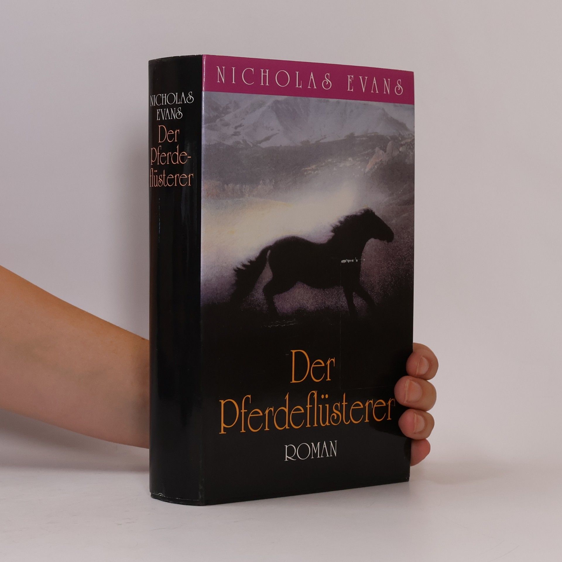Nicholas Evans Der Pferdeflüsterer