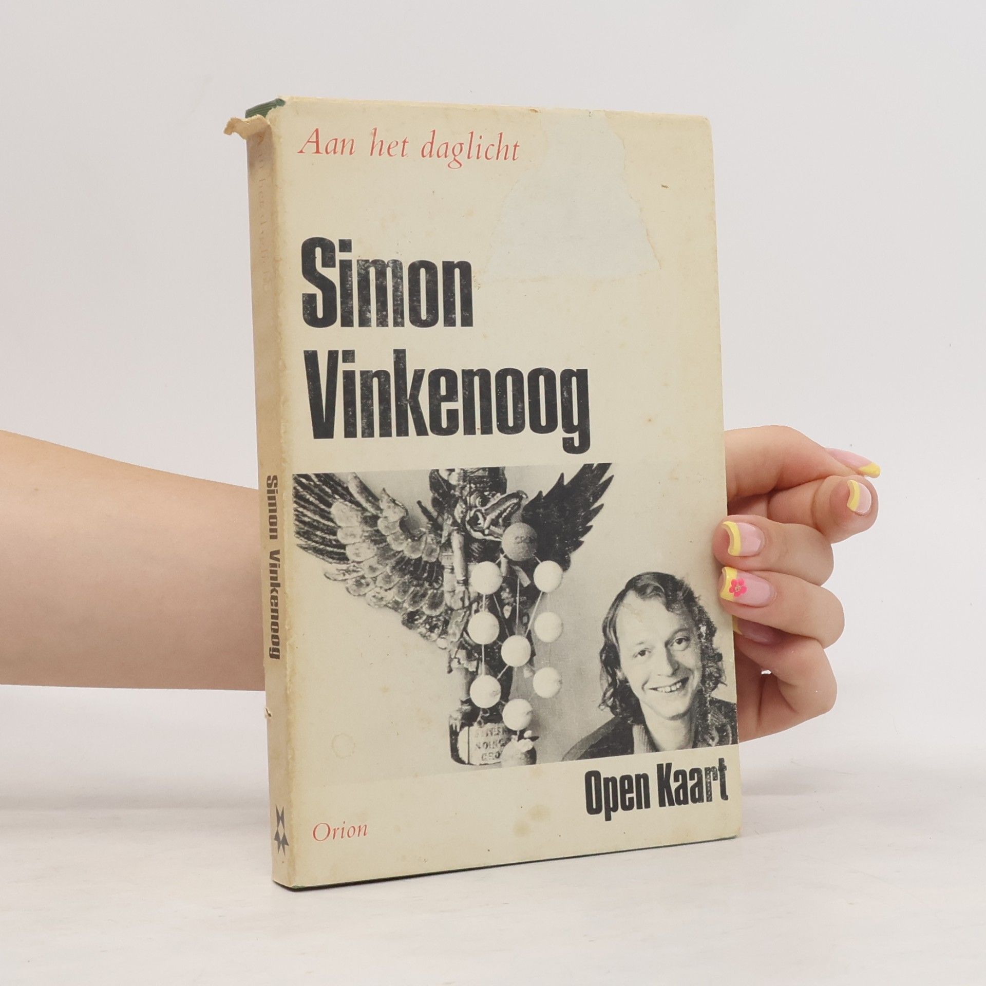 Simon Vinkenoog Aan het daglicht