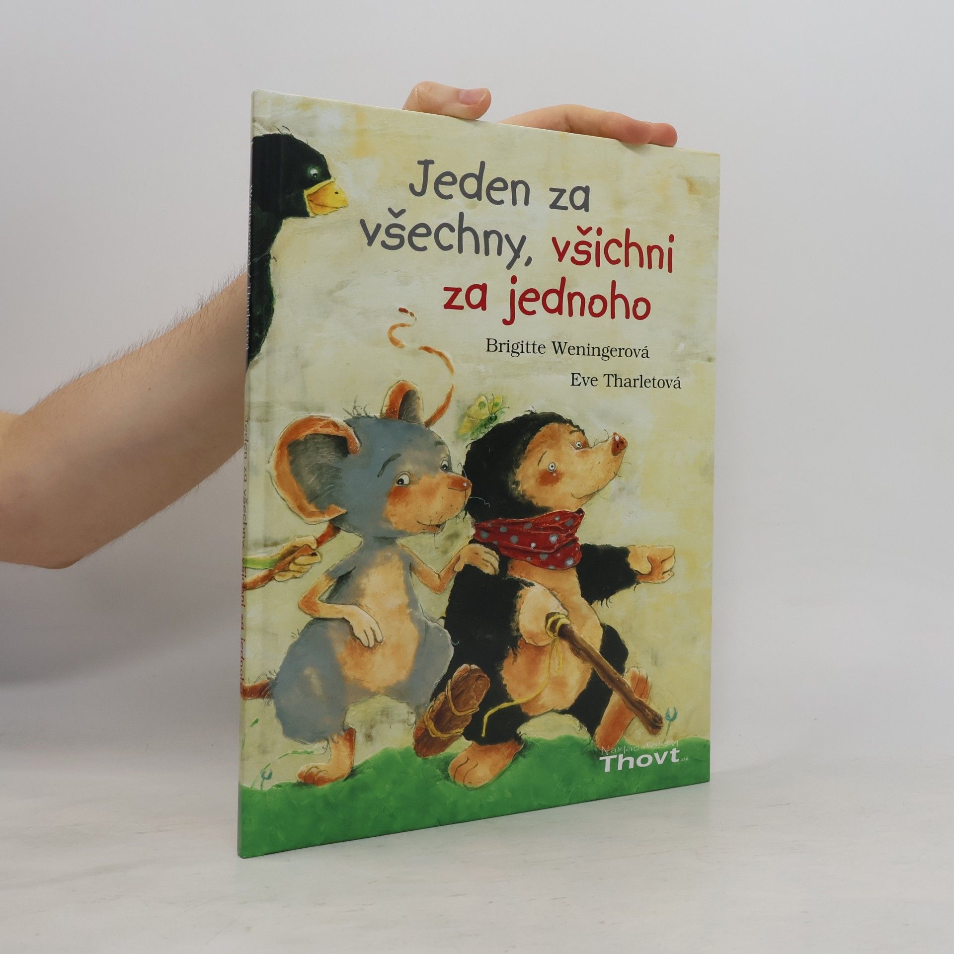 Jeden za všechny, všichni za jednoho