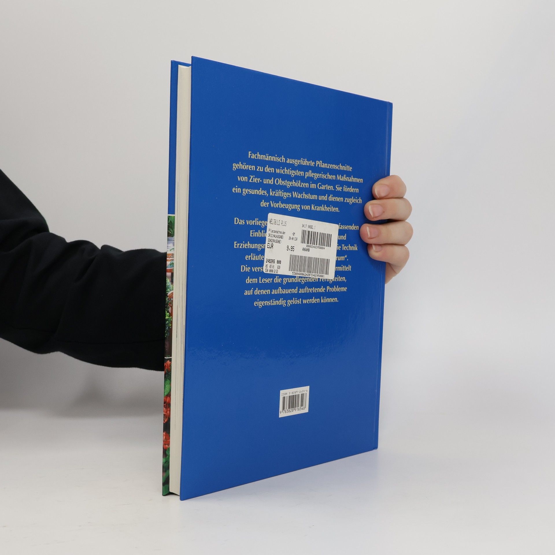 David Joyce Das große Buch vom Pflanzenschneiden