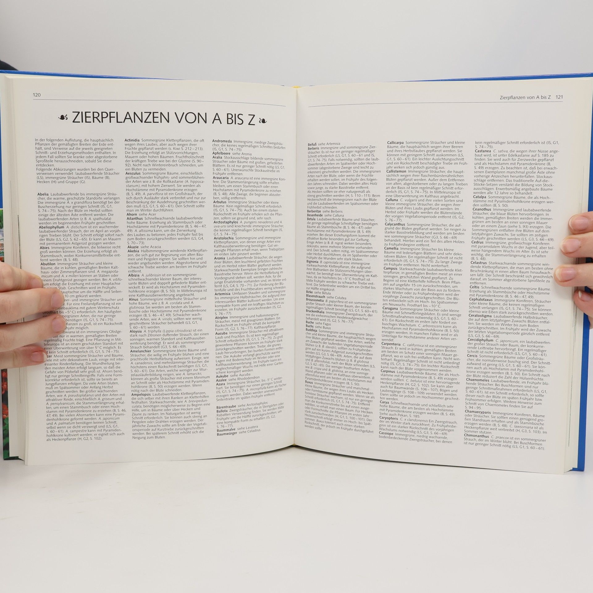 David Joyce Das große Buch vom Pflanzenschneiden