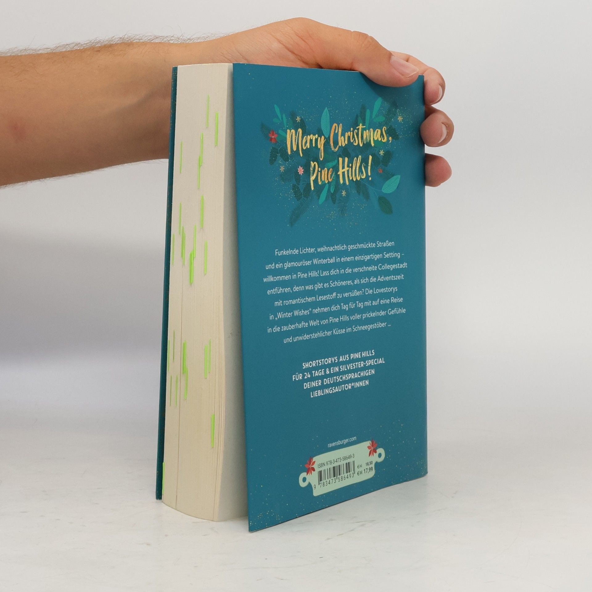 Alexandra Flint Winter Wishes. Ein Adventskalender. Lovestorys für 24 Tage plus Silvester-Special