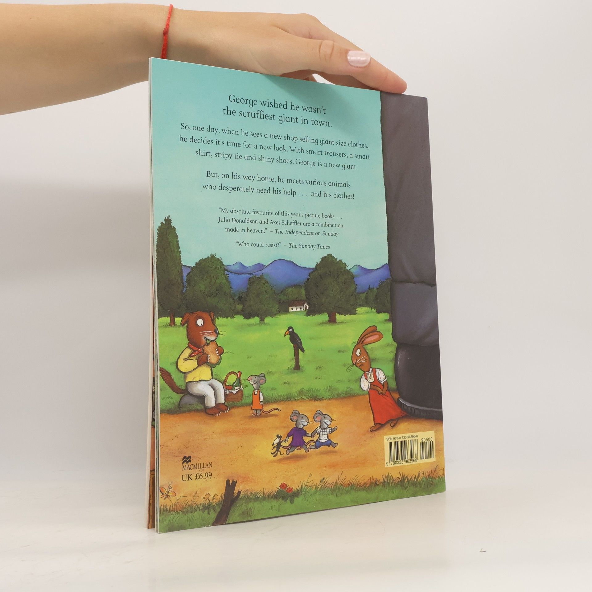 Julia Donaldson The Smartest Giant in Town