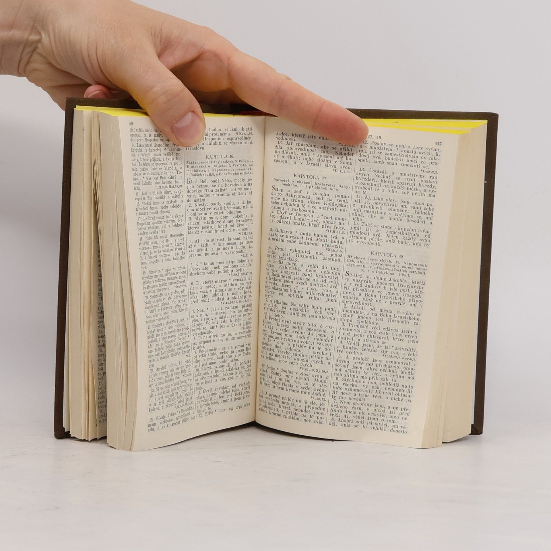 Kolektiv autorů Biblí svatá aneb Všecka svatá písma Starého i Nového zákona
