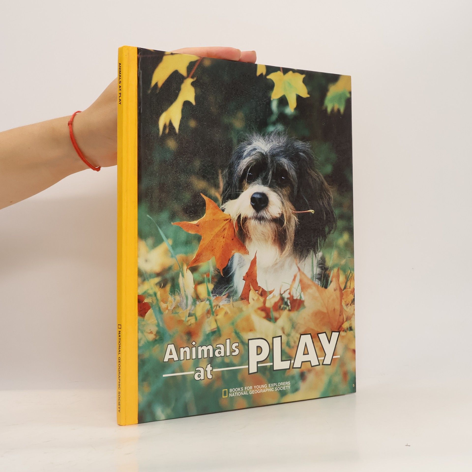 Books for Young Explorers: Animals at Play
