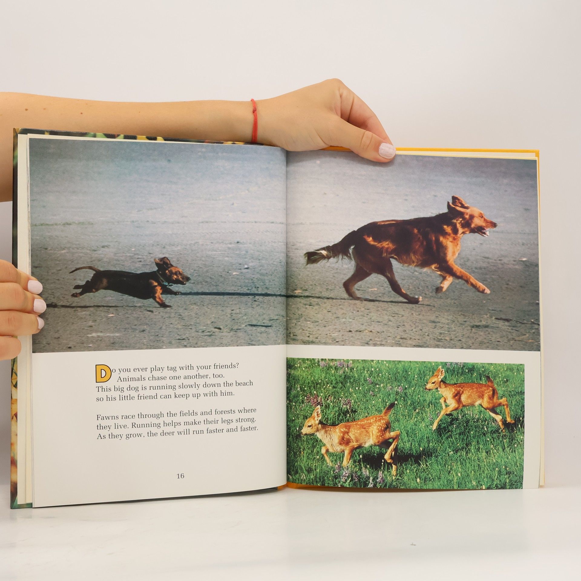 K. M. Kostyal Books for Young Explorers: Animals at Play