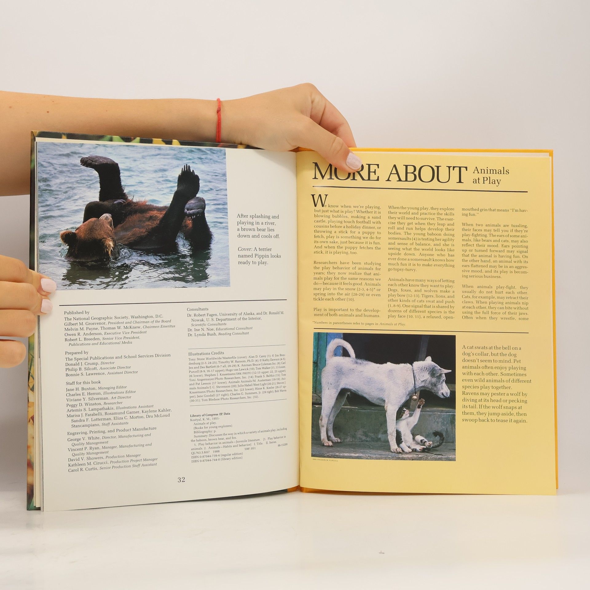 K. M. Kostyal Books for Young Explorers: Animals at Play