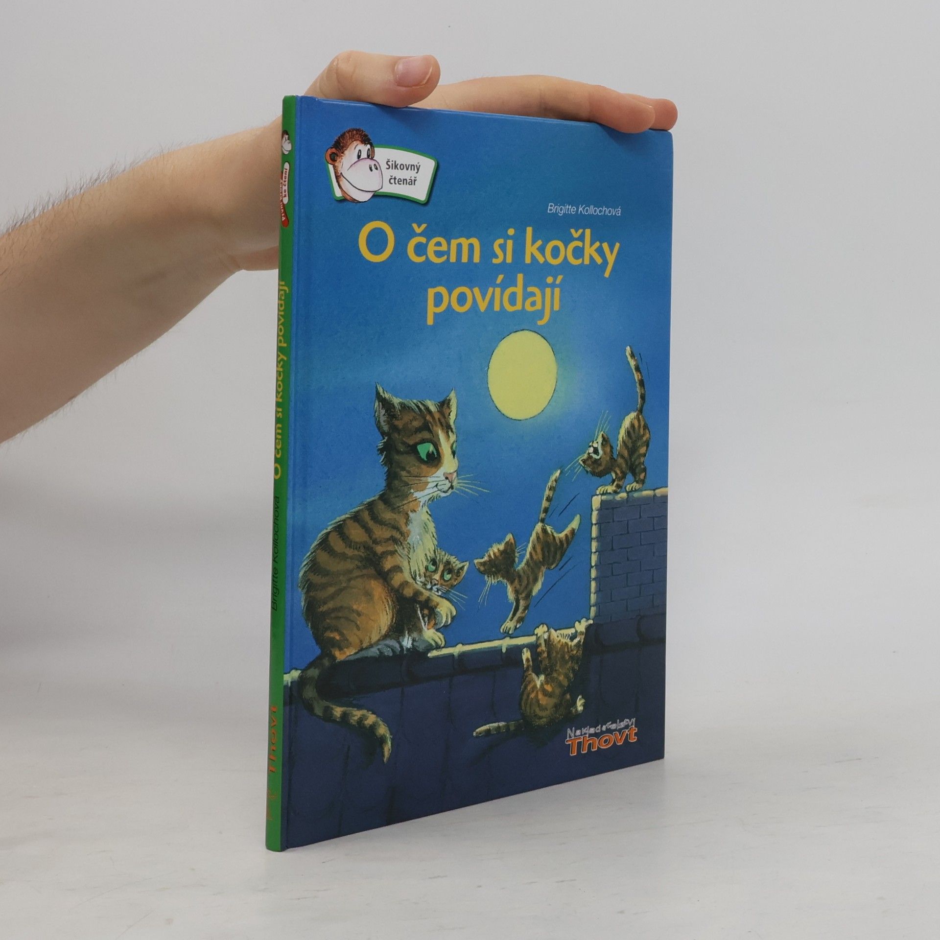 O čem si kočky povídají?