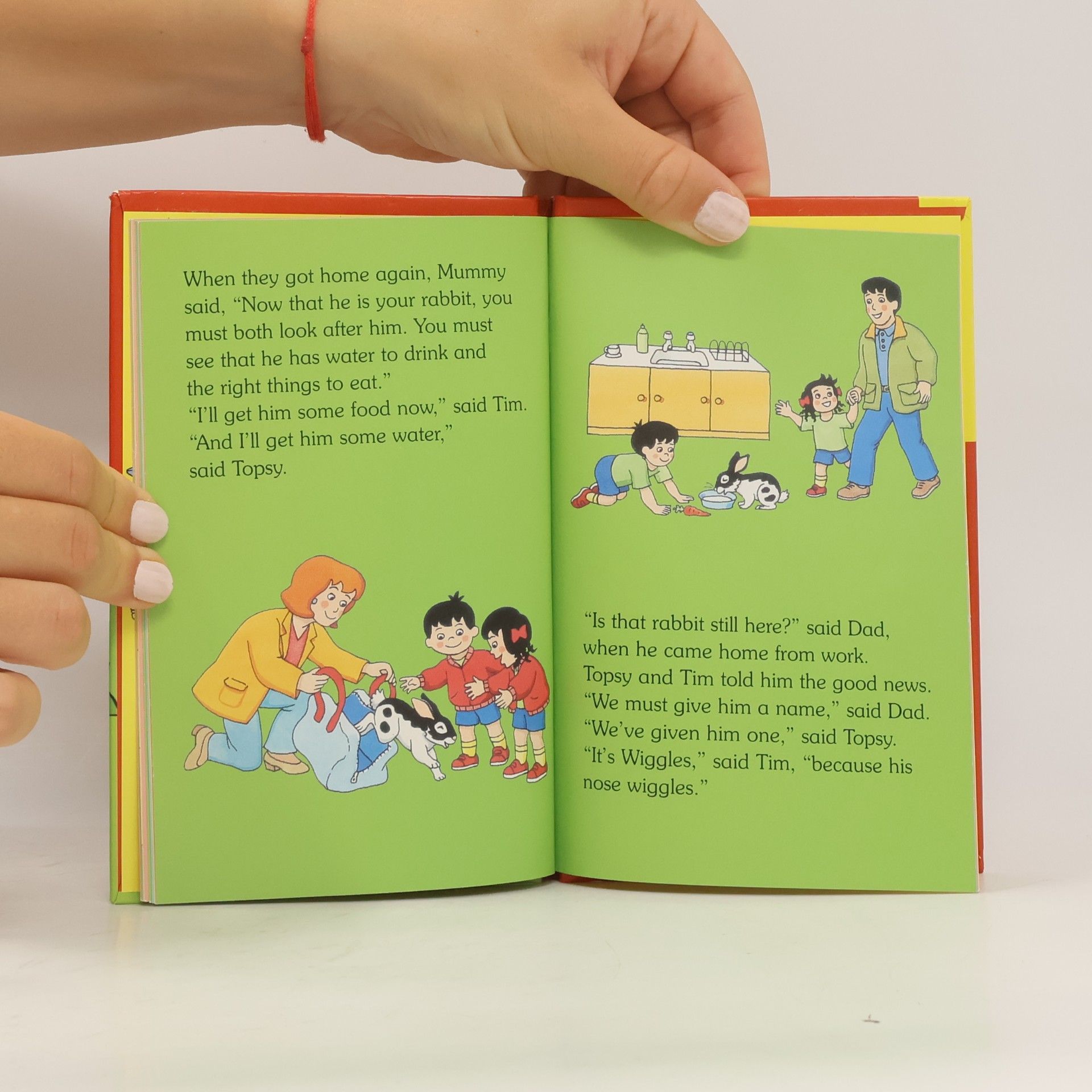 Jean Adamson Topsy And Tim: Little Lost Rabbit