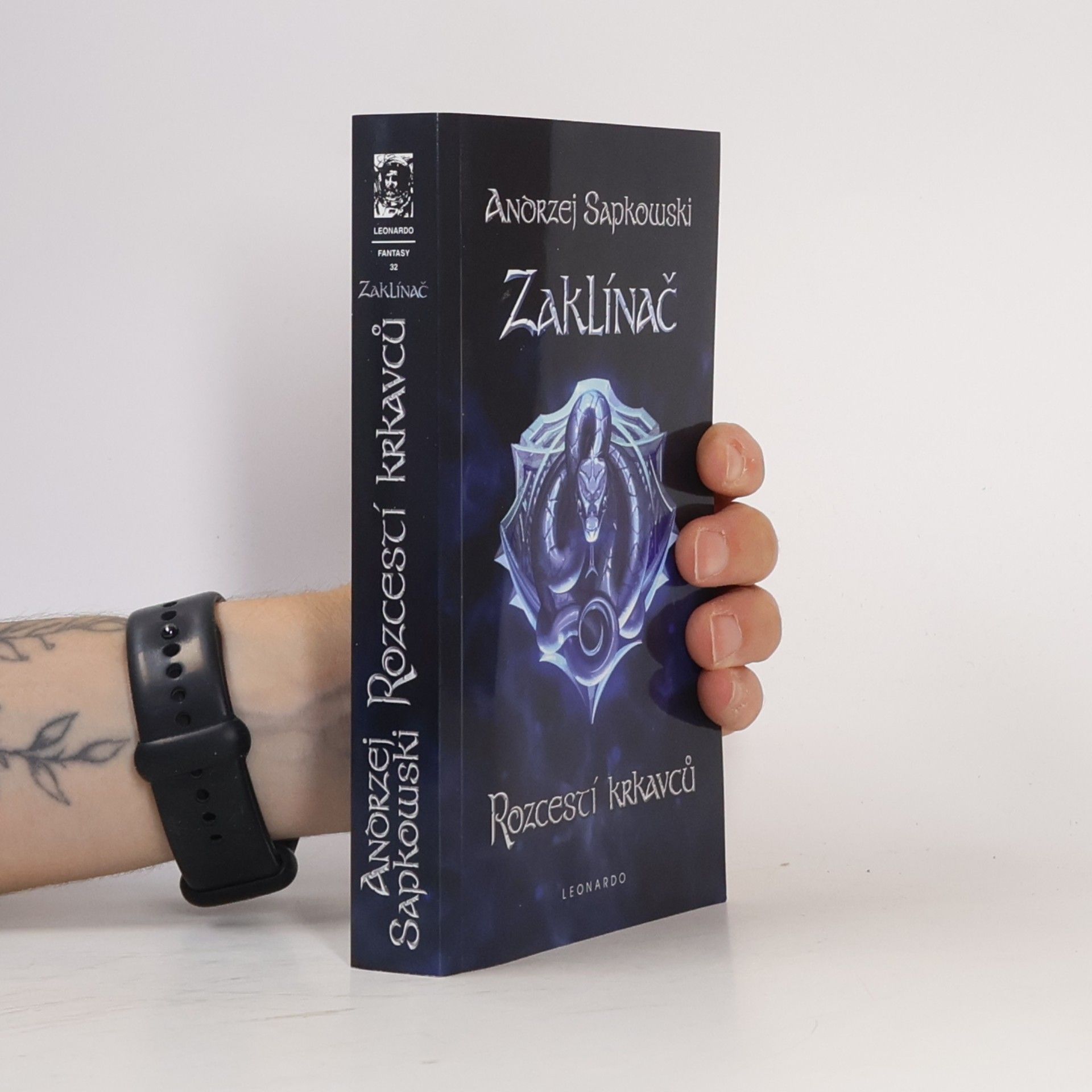 Andrzej Sapkowski Zaklínač IX. Rozcestí krkavců