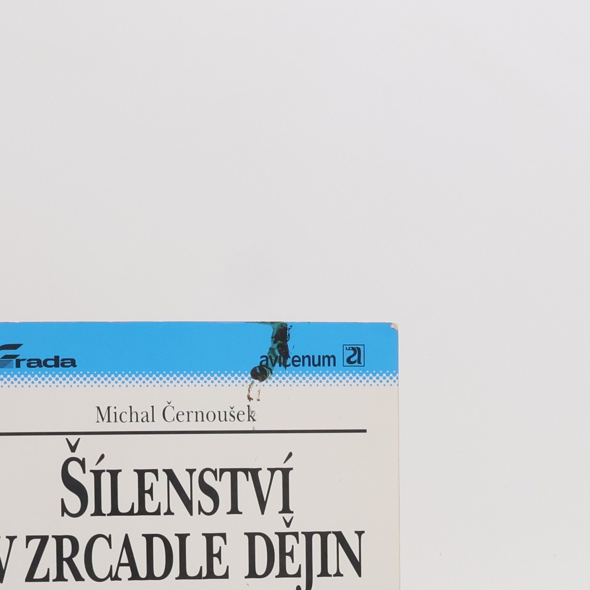 Michal Černoušek Šílenství v zrcadle dějin