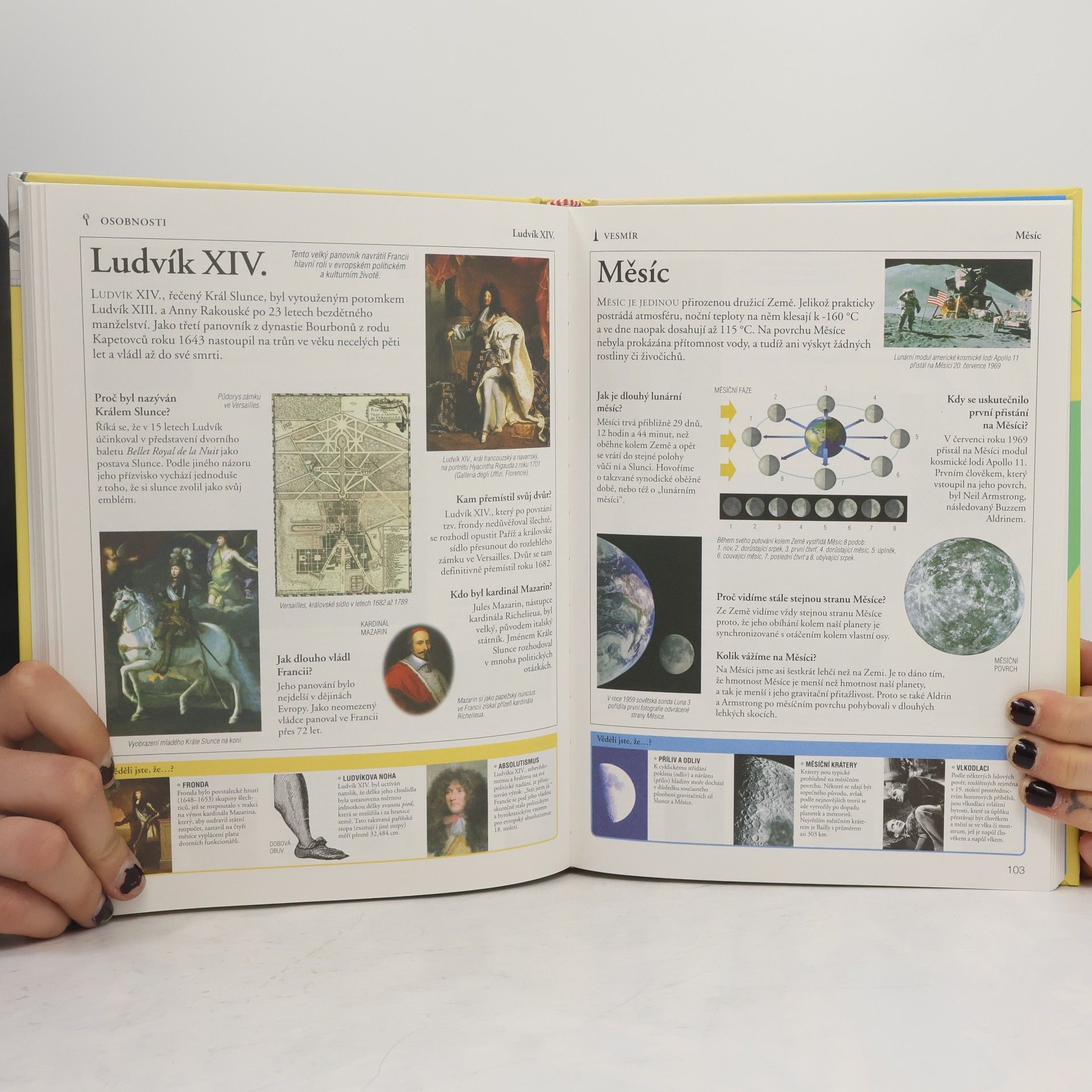 Autorenkollektiv Encyklopedie nejen pro školáky – Všeobecný přehled: Zeměpis, věda, příroda, kultura, historie