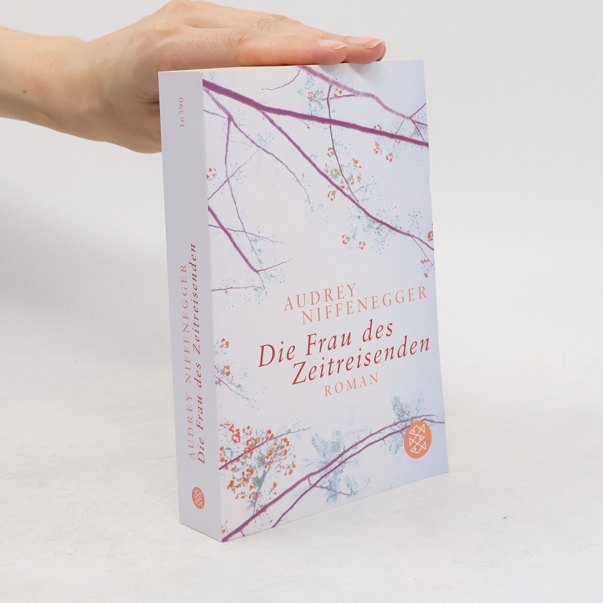Audrey Niffenegger Die Frau des Zeitreisenden