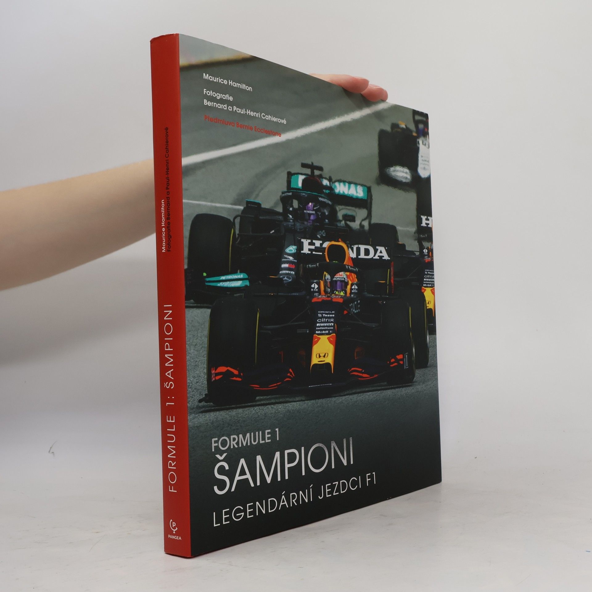 Maurice Hamilton Formule 1 : šampioni : legendární jezdci F1
