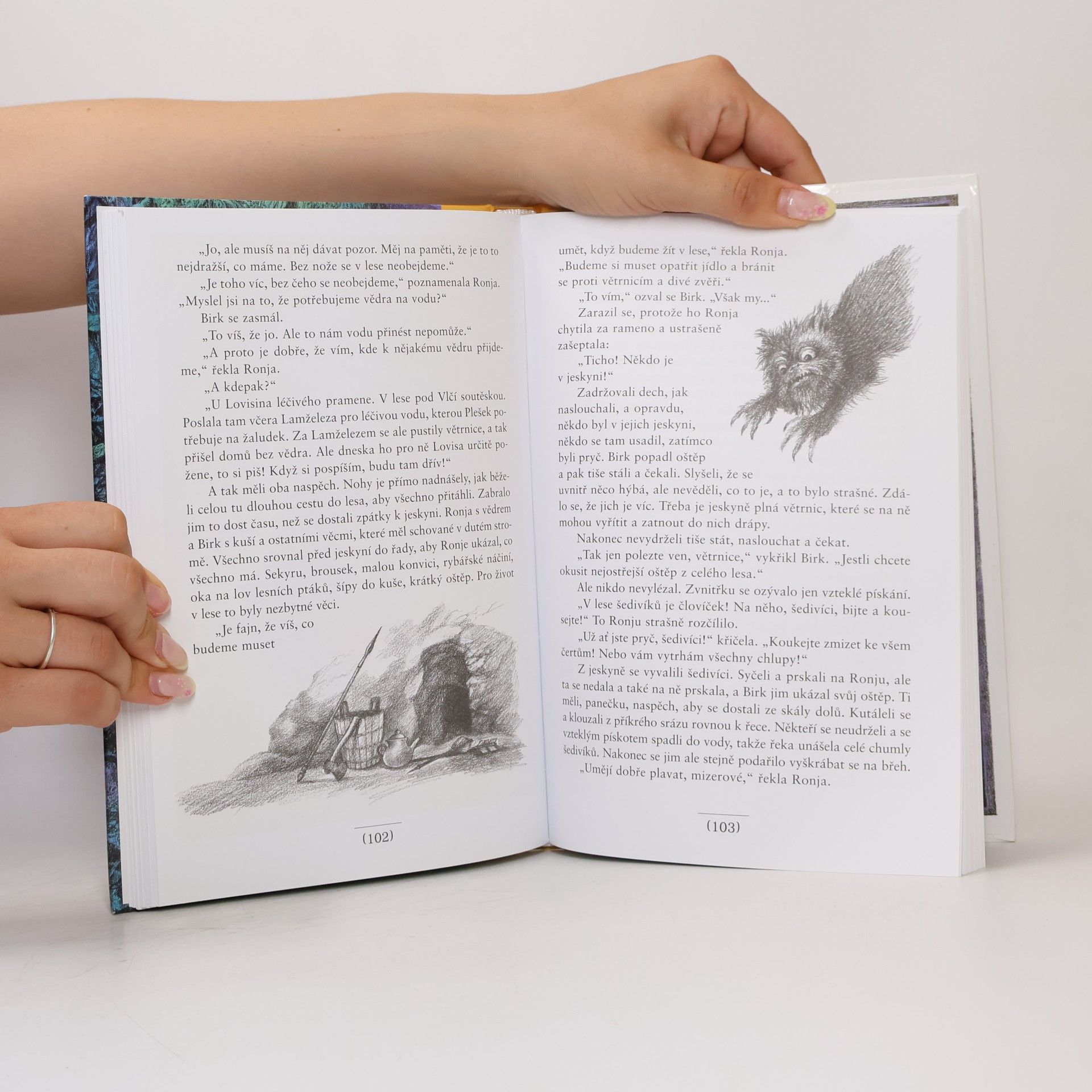 Astrid Lindgren Ronja, dcera loupežníka