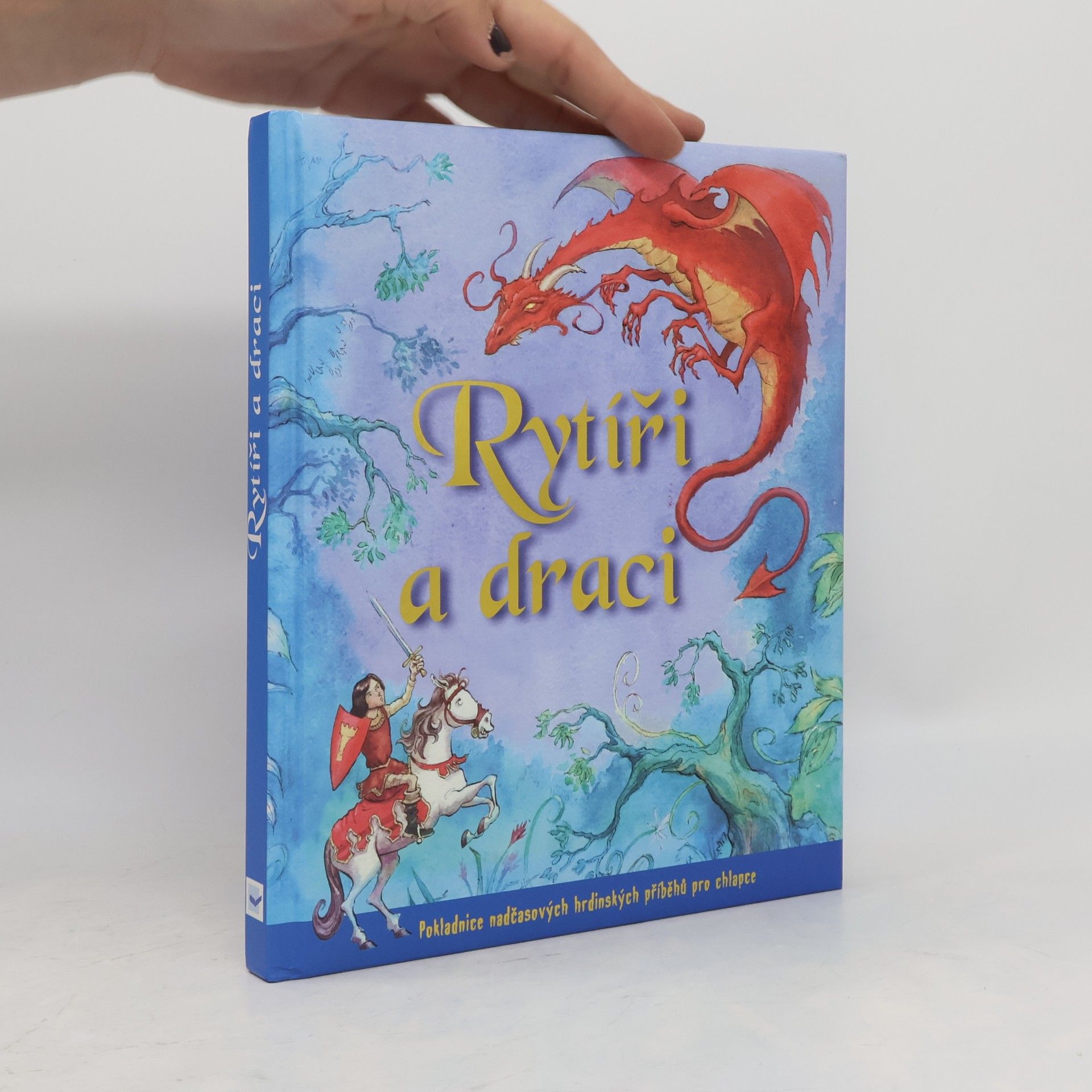 Various authors Rytíři a draci