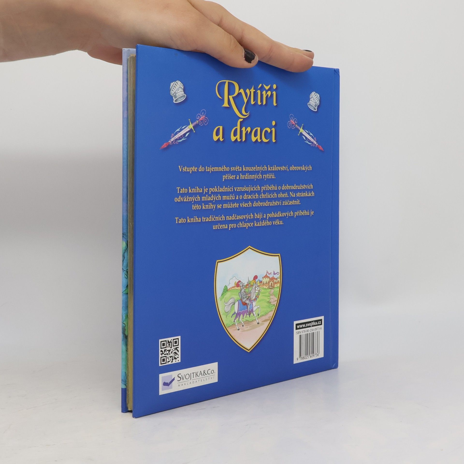 Autorenkollektiv Rytíři a draci