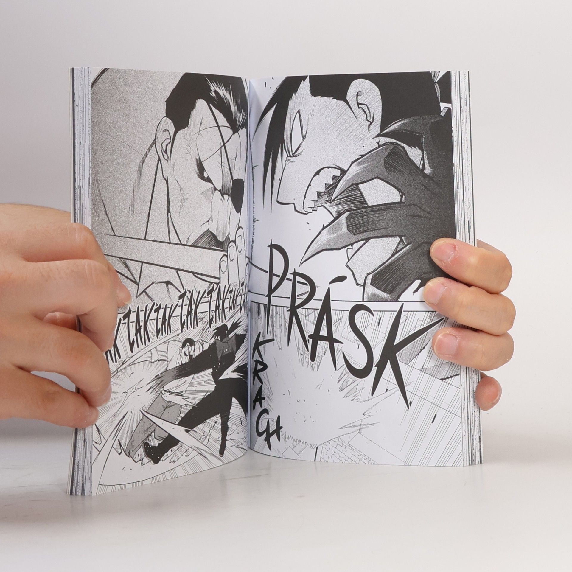 Hiromu Arakawa Fullmetal Alchemist. Ocelový alchymista. 24