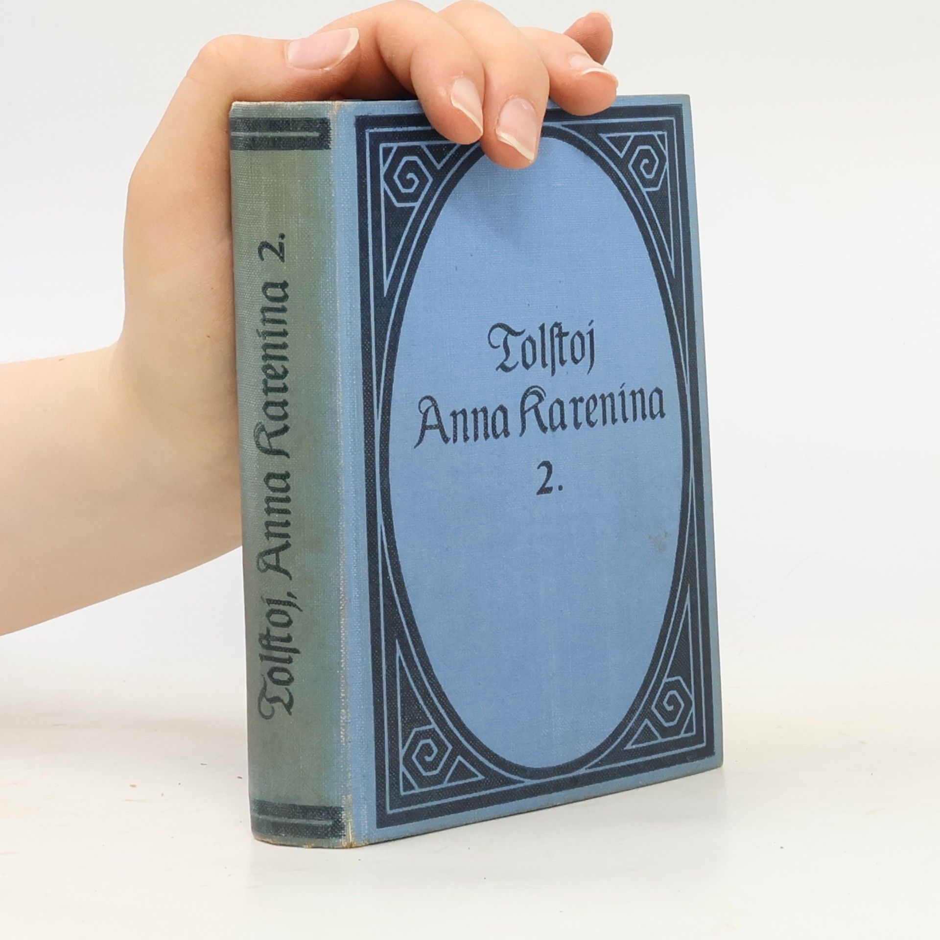Lew Nikolajewitsch Tolstoi Anna Karenina 2.