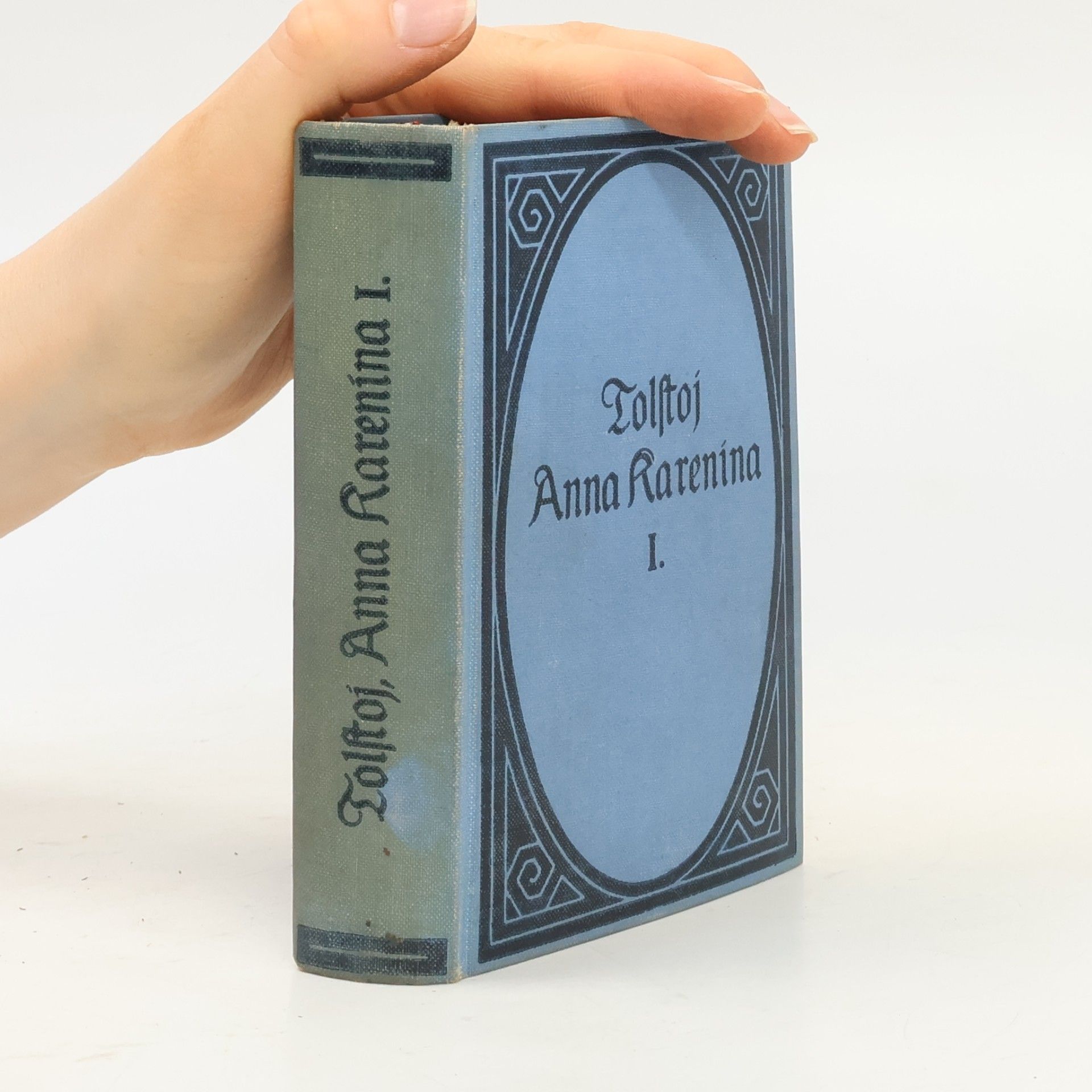 Lew Nikolajewitsch Tolstoi Anna Karenina I.
