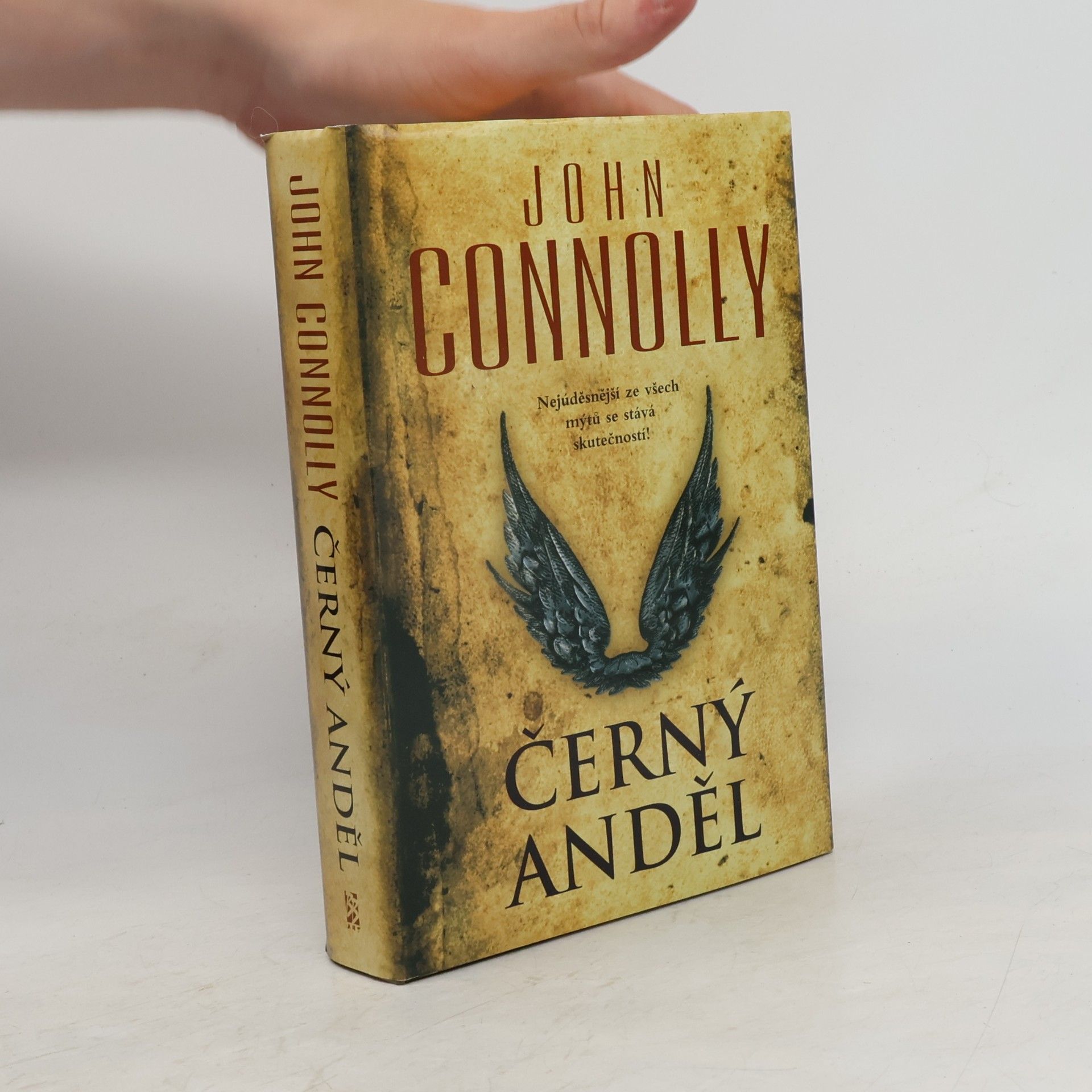 John Connolly Černý anděl