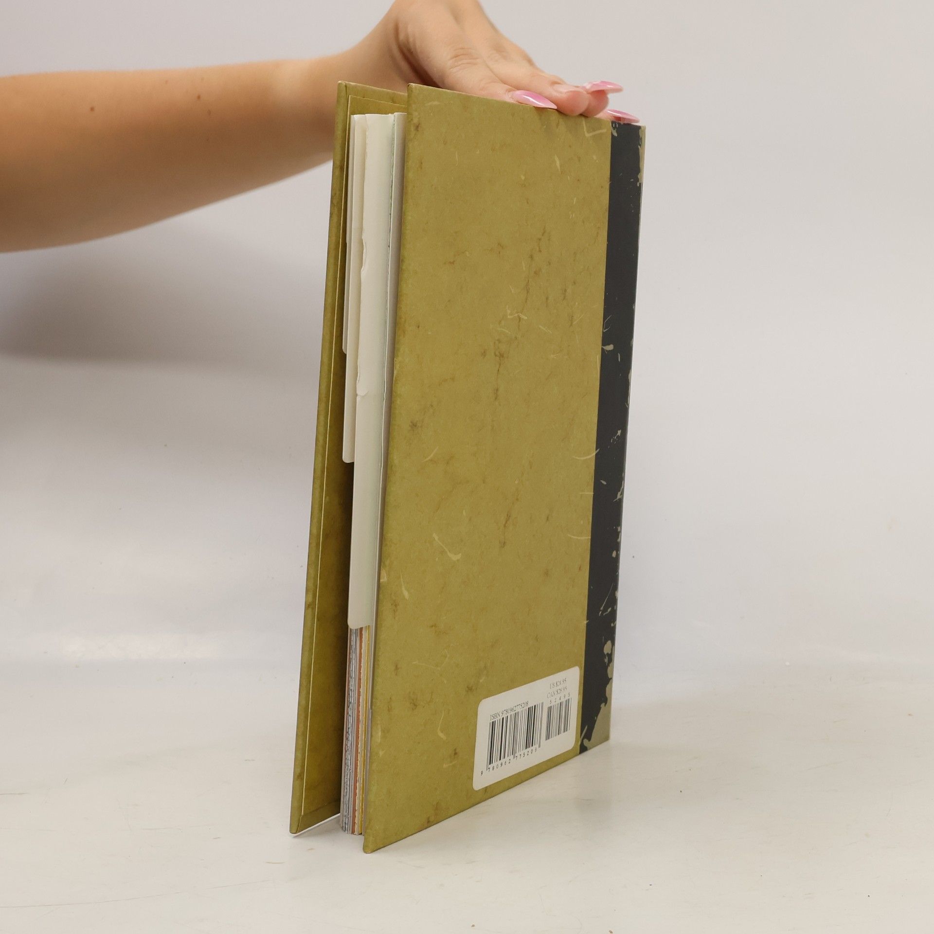 Laura MacDonald The Pocket Paper Engineer