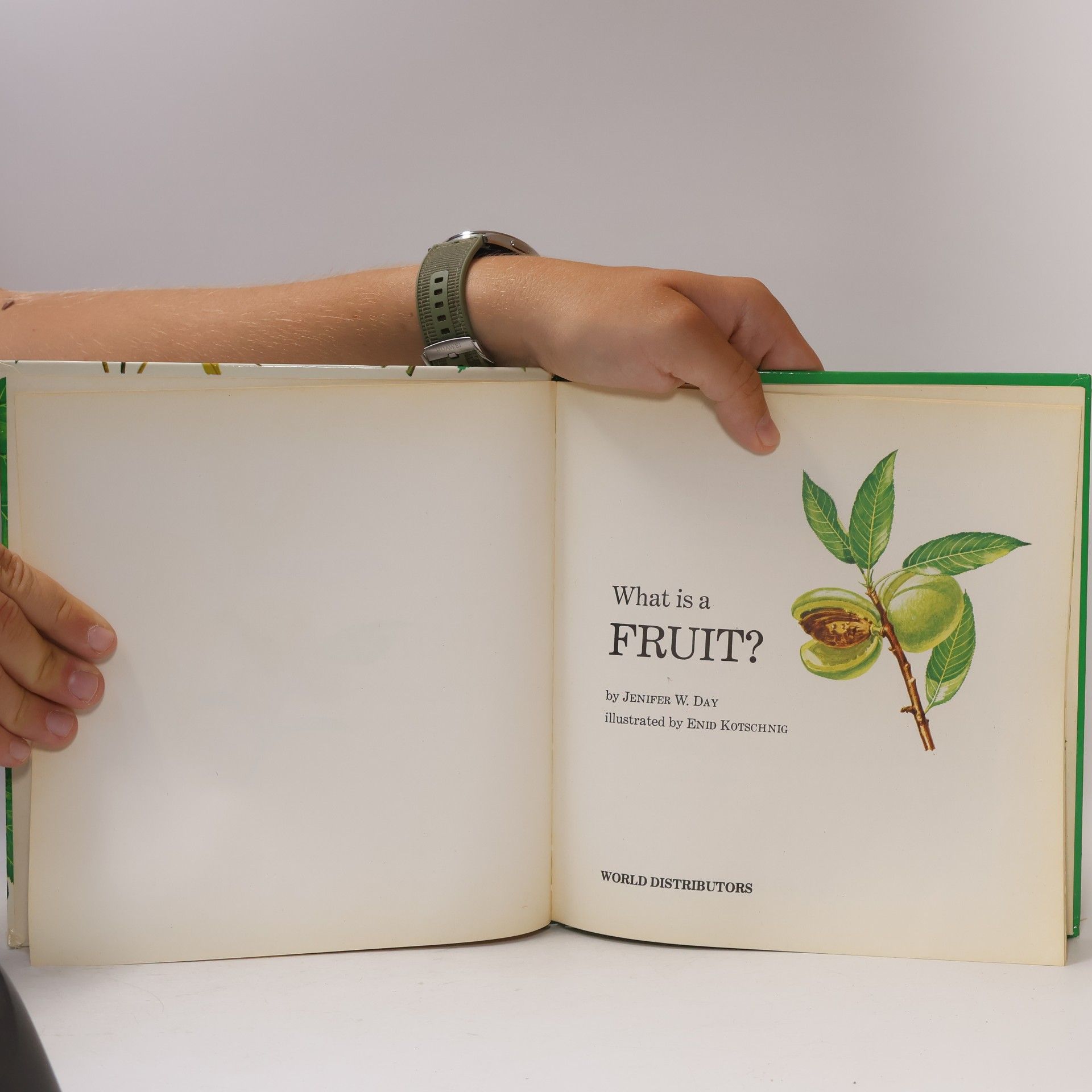 Jenifer W. Day What is a Fruit?