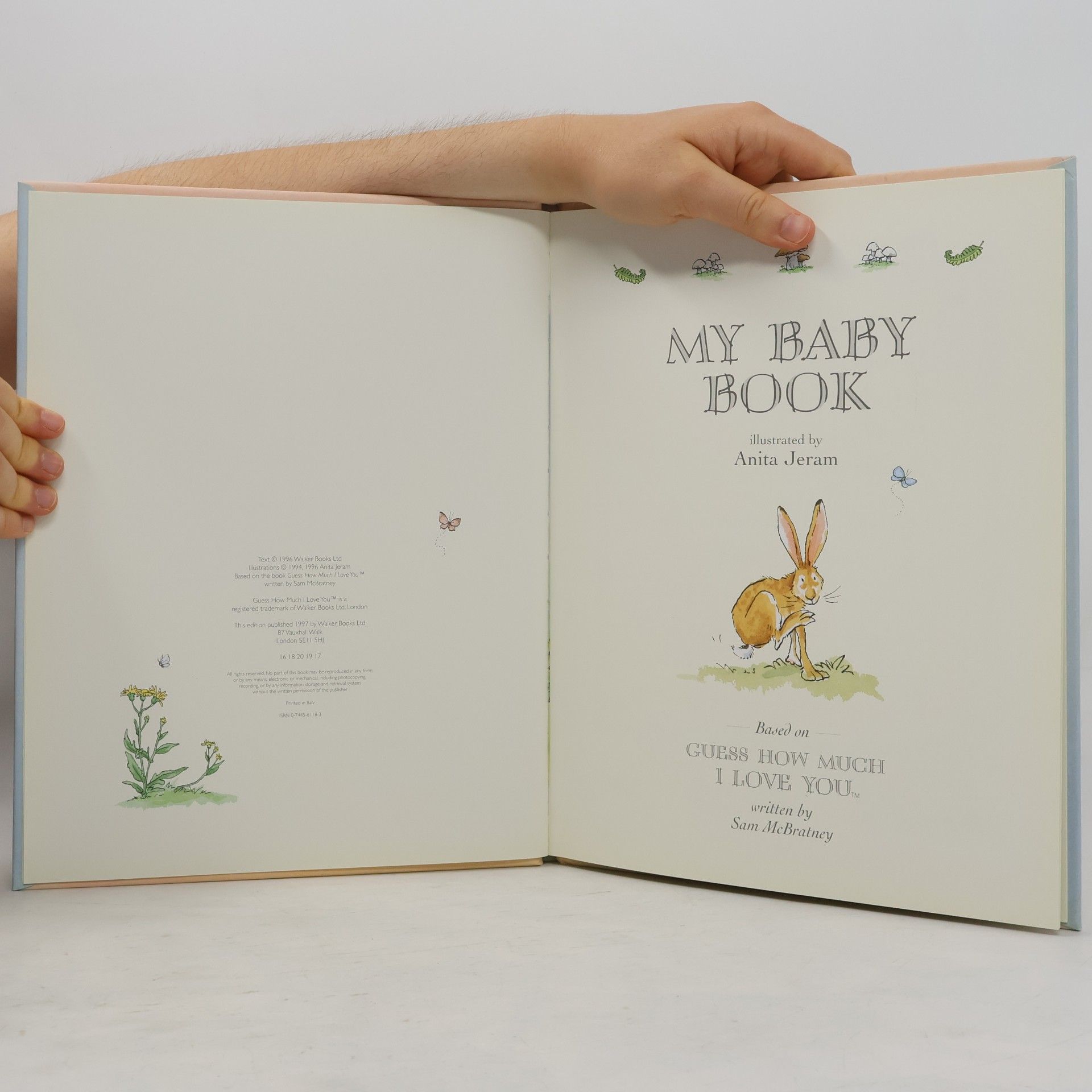 Anita Jeram My Baby Book