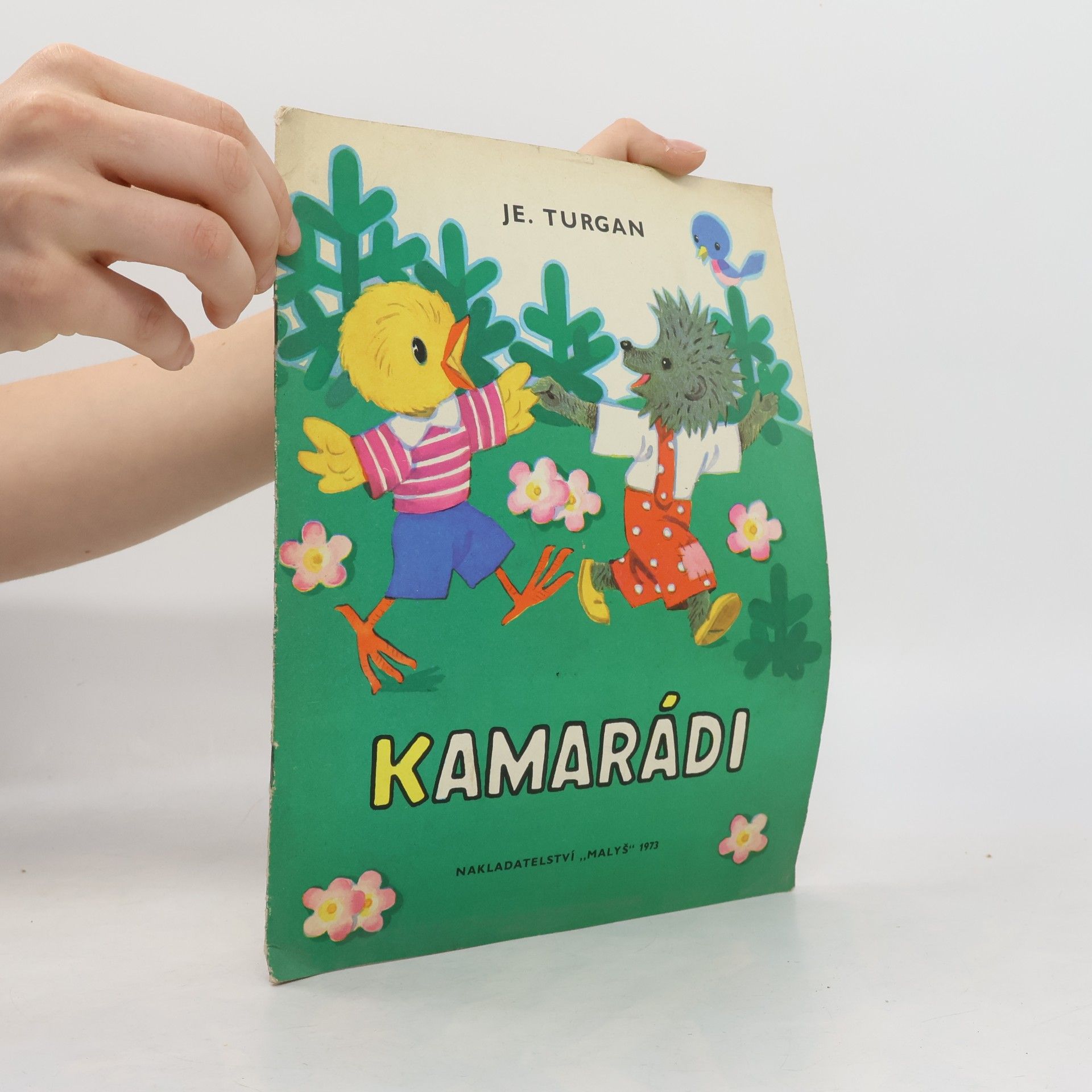 Je. Turgan Kamarádi