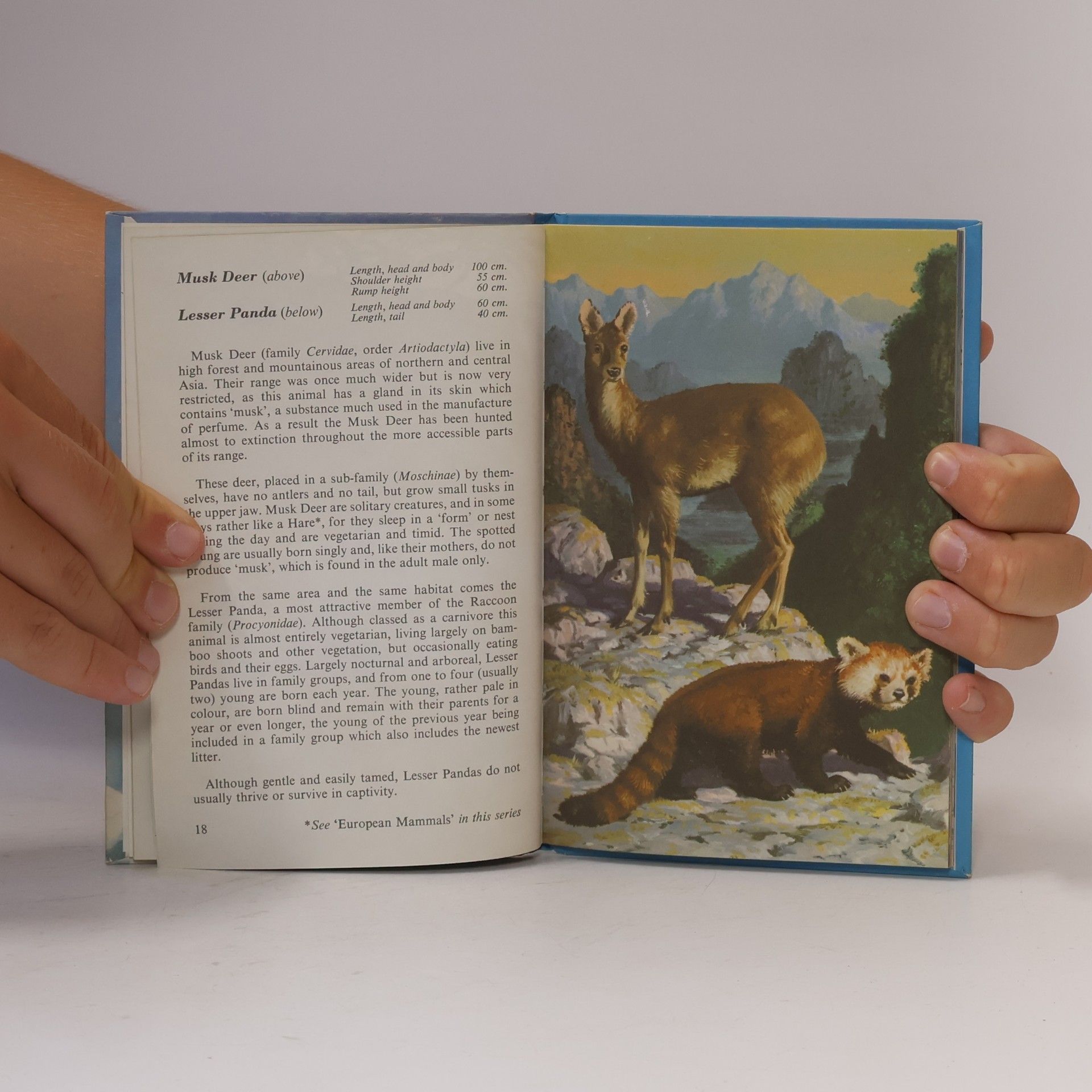 John Leigh Pemberton  Animals of the World: Asian Mammals