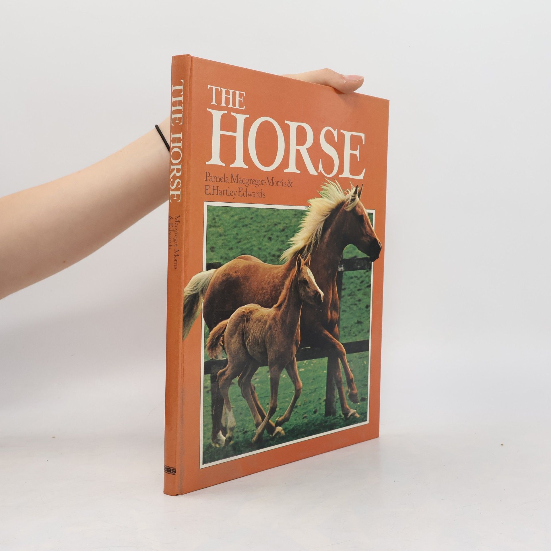 Pamela MacGregor The Horse